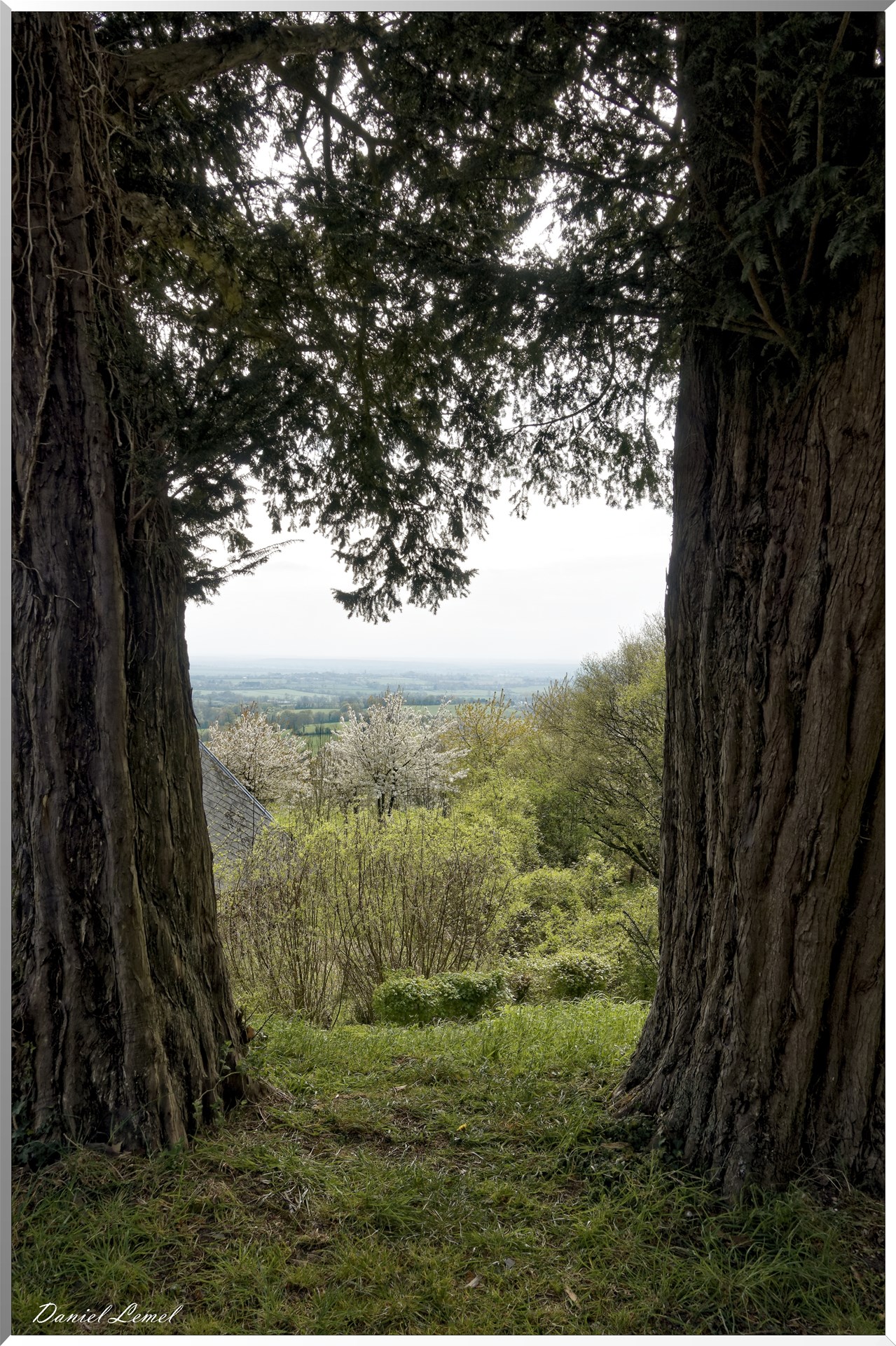 Vue de la campagne