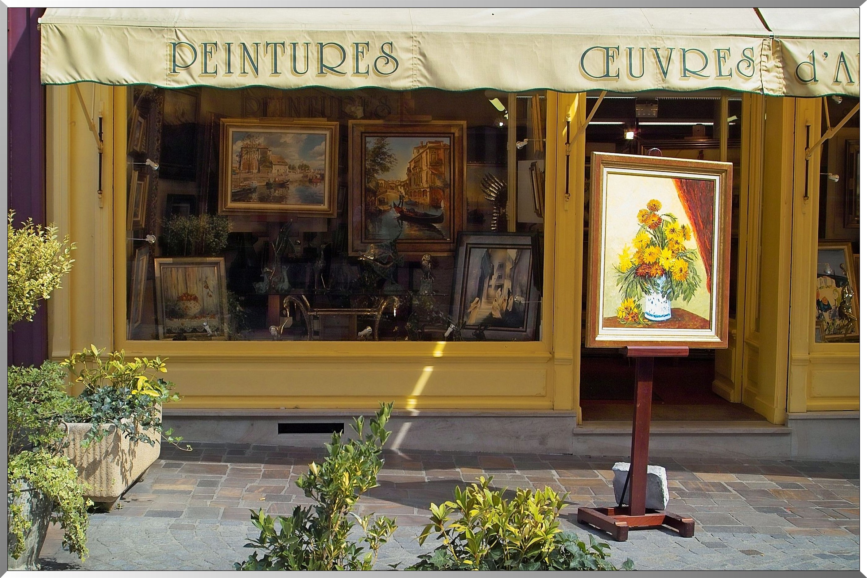 Vitrines d'art