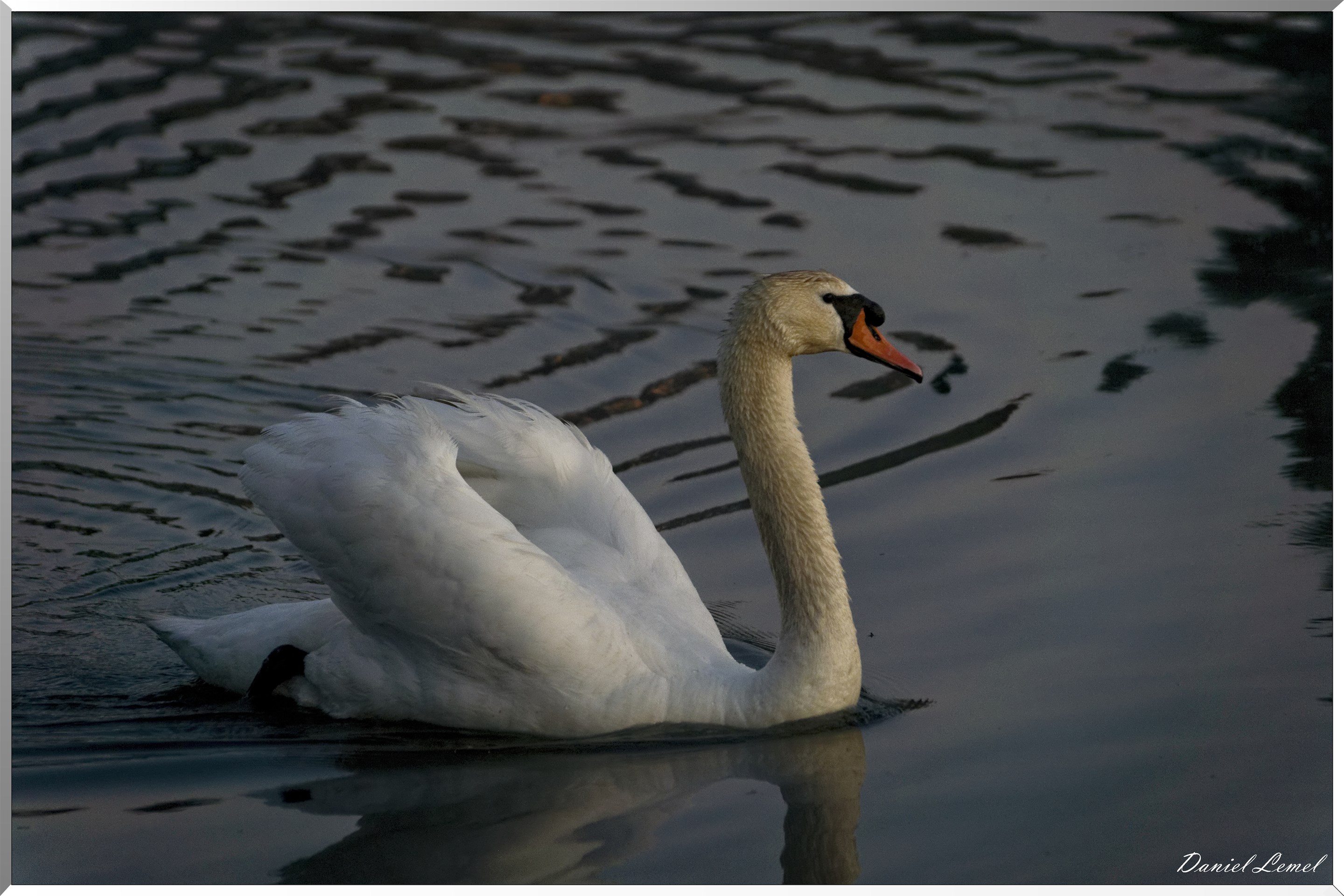 Lever de soleil sur le marais