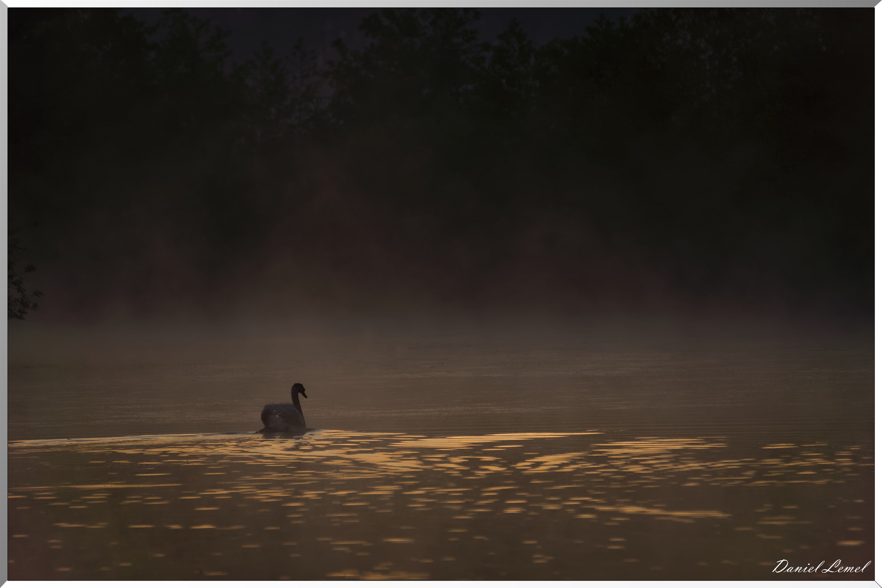 Lever de soleil sur le marais