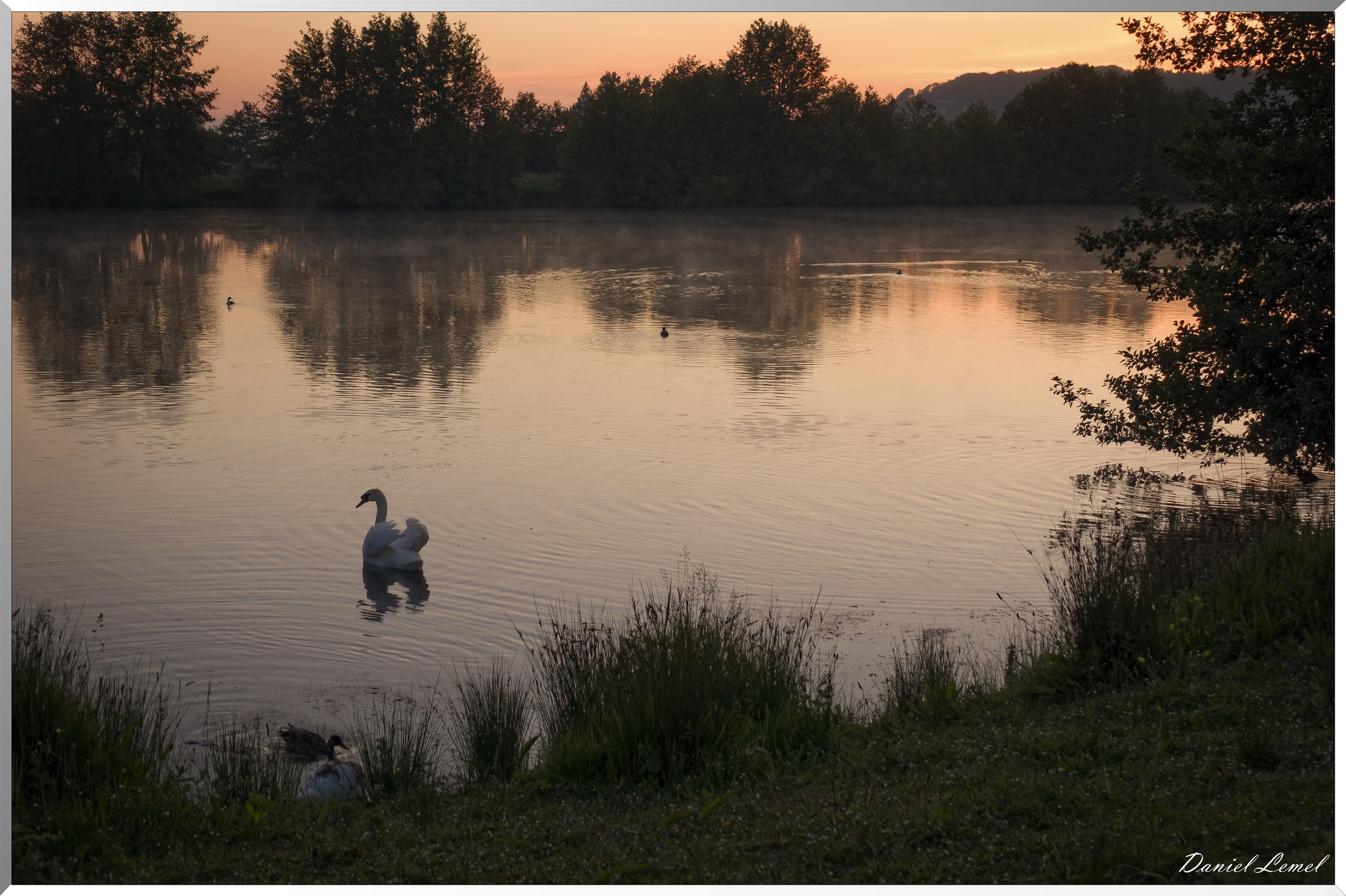 Lever de soleil sur le marais