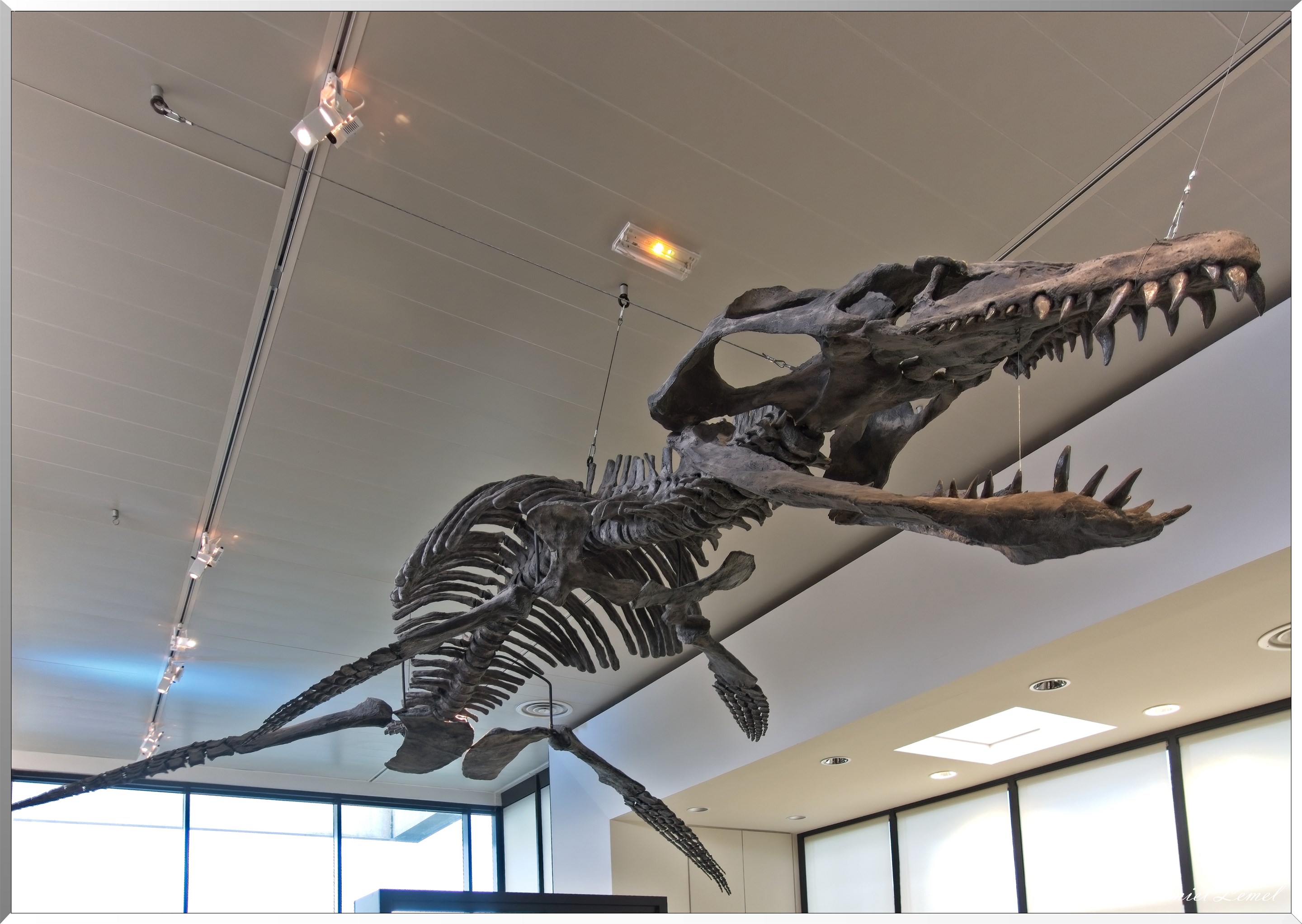 Paléospace de Villers-sur-mer