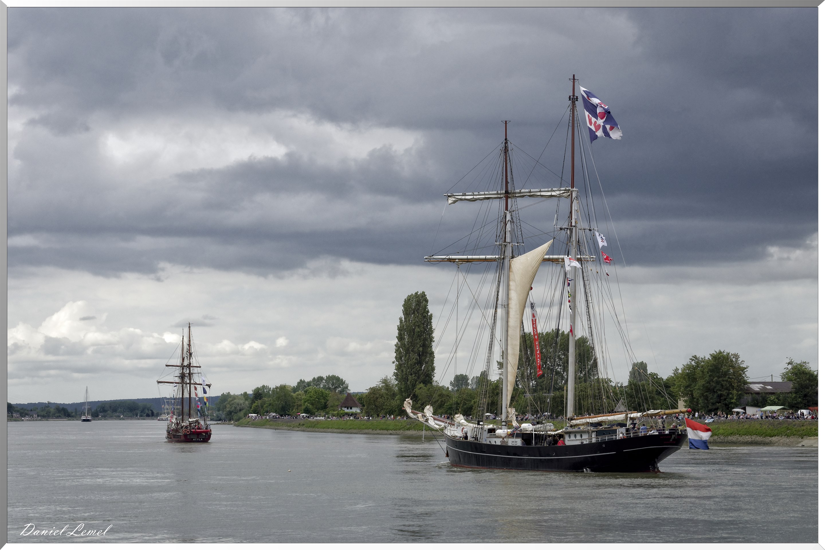 WYLDE SWAN