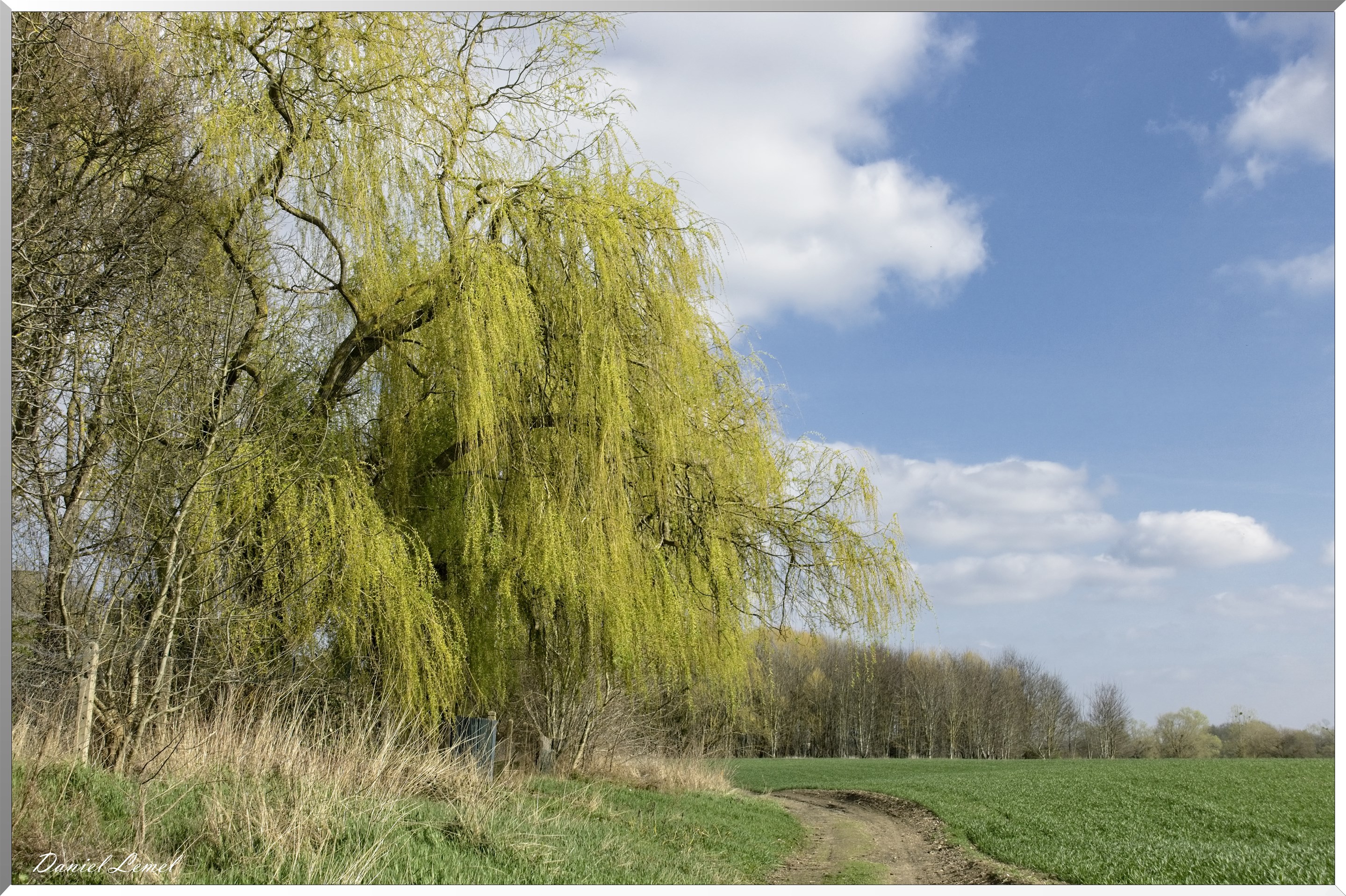 Bord de Seine. De Courcelles à Notre-dame-de-l'ile