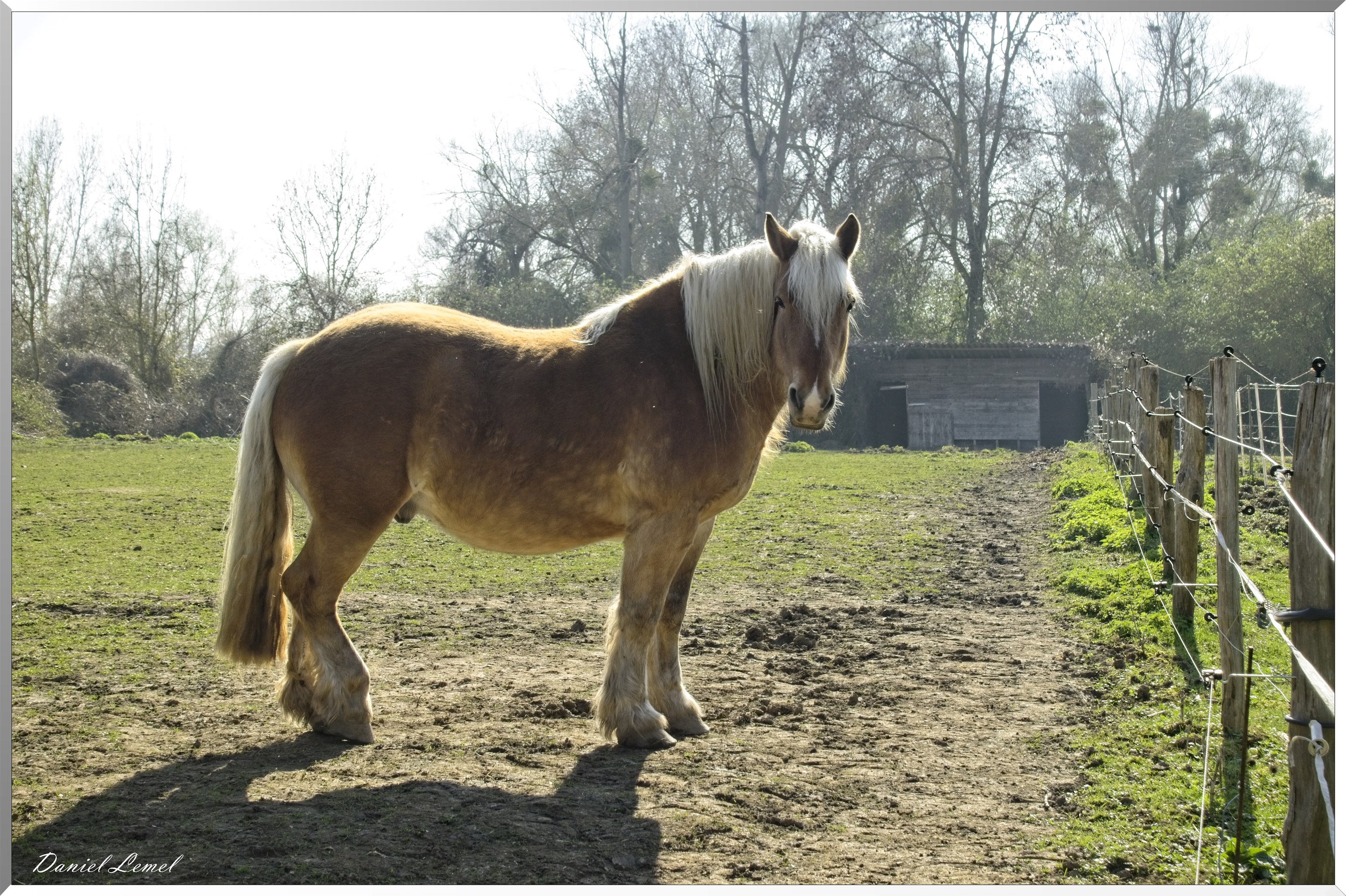 Bord de Seine. De Courcelles à Notre-dame-de-l'ile