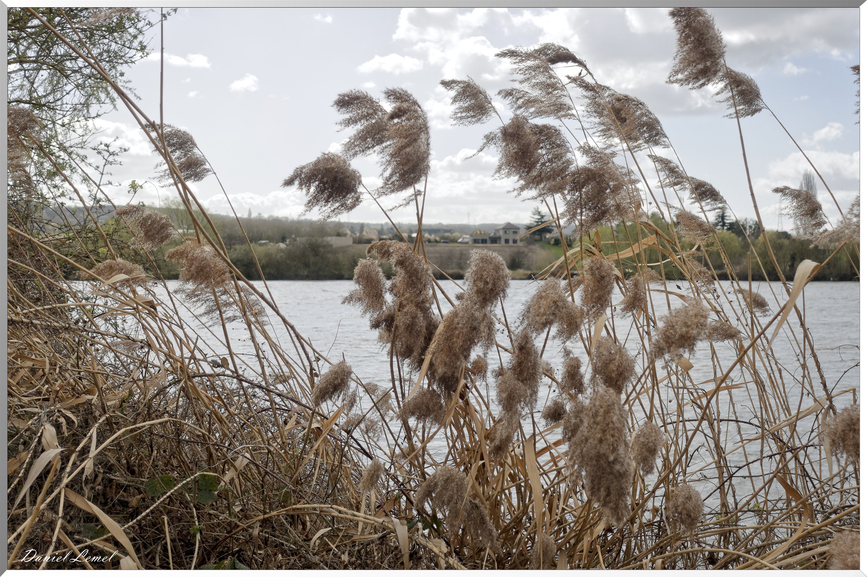 Bord de Seine. De Courcelles à Notre-dame-de-l'ile