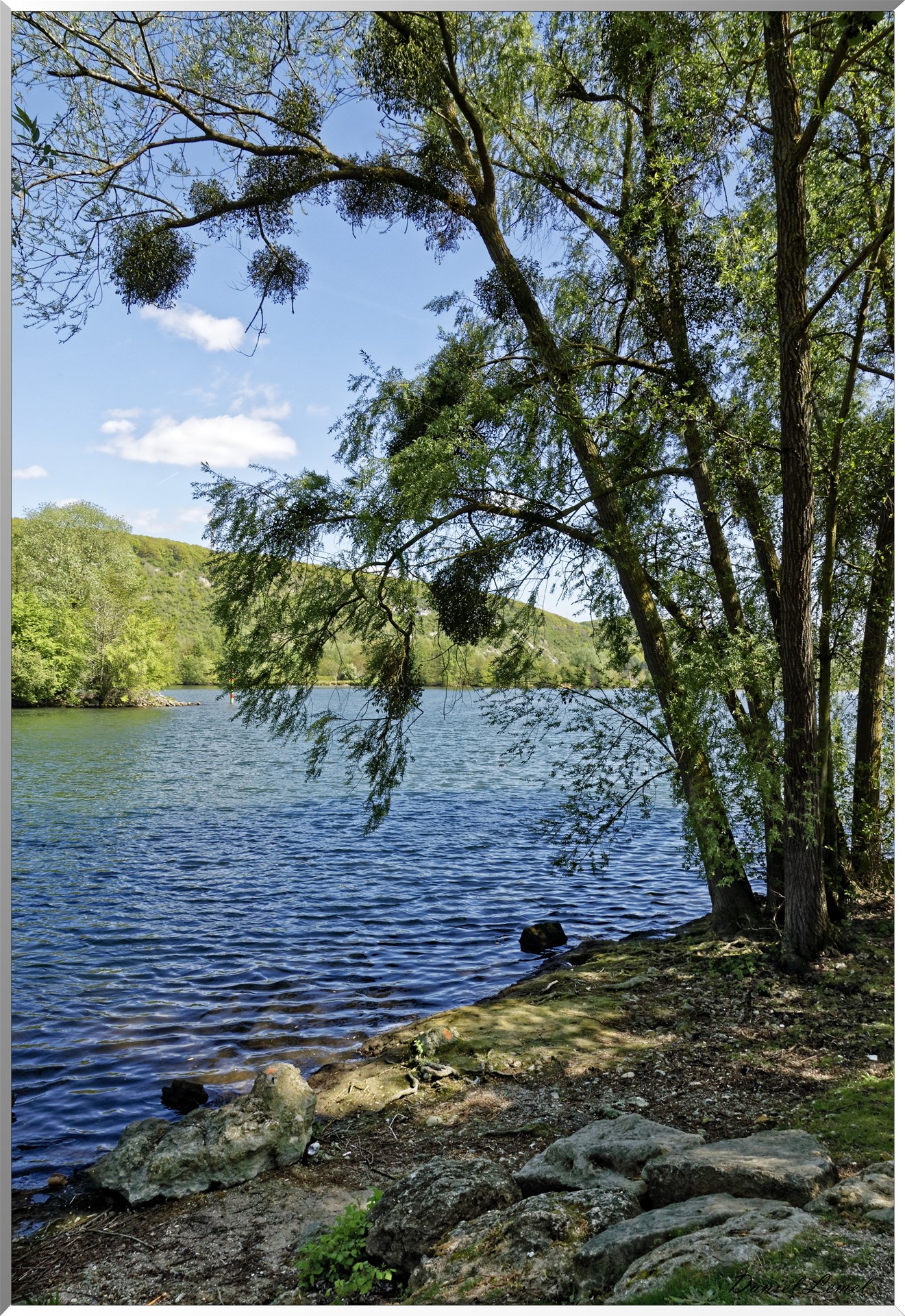 Bord de Seine