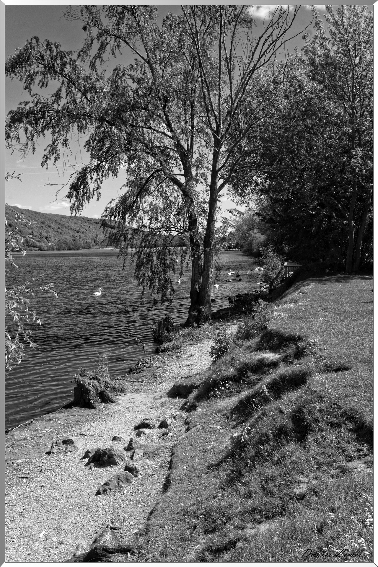 Bord de Seine
