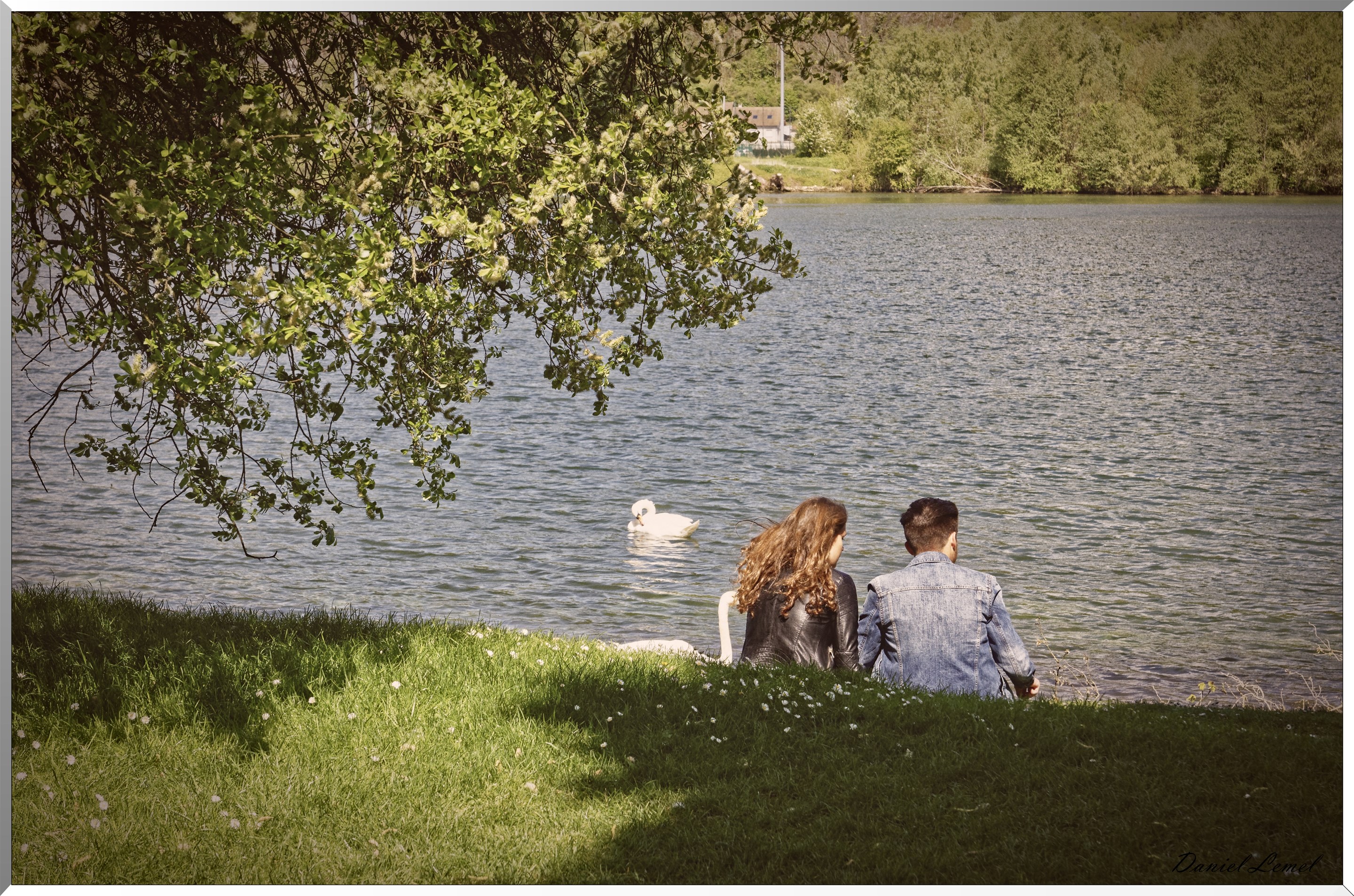 Bord de Seine