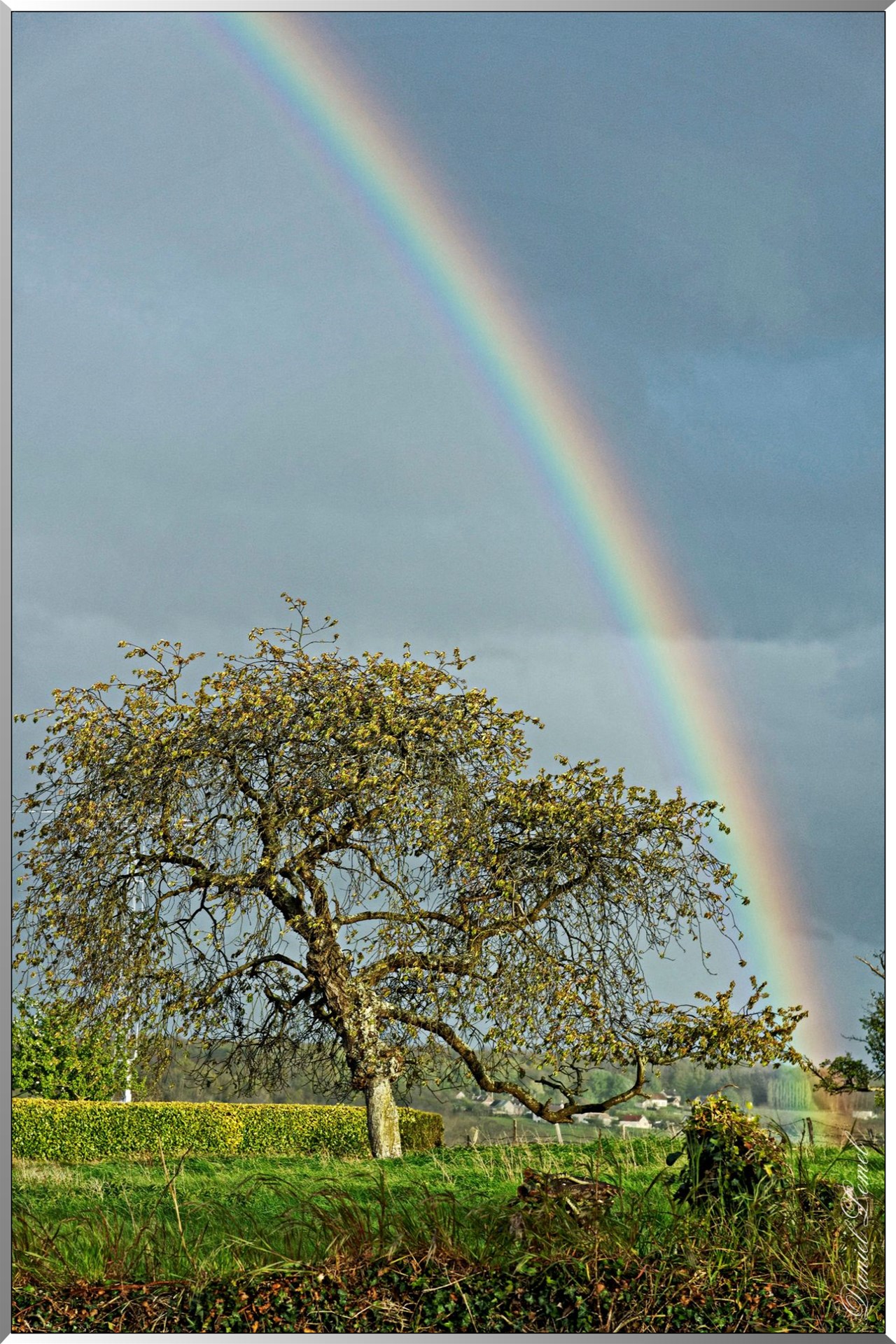 Arc en ciel vue de la fenêtre