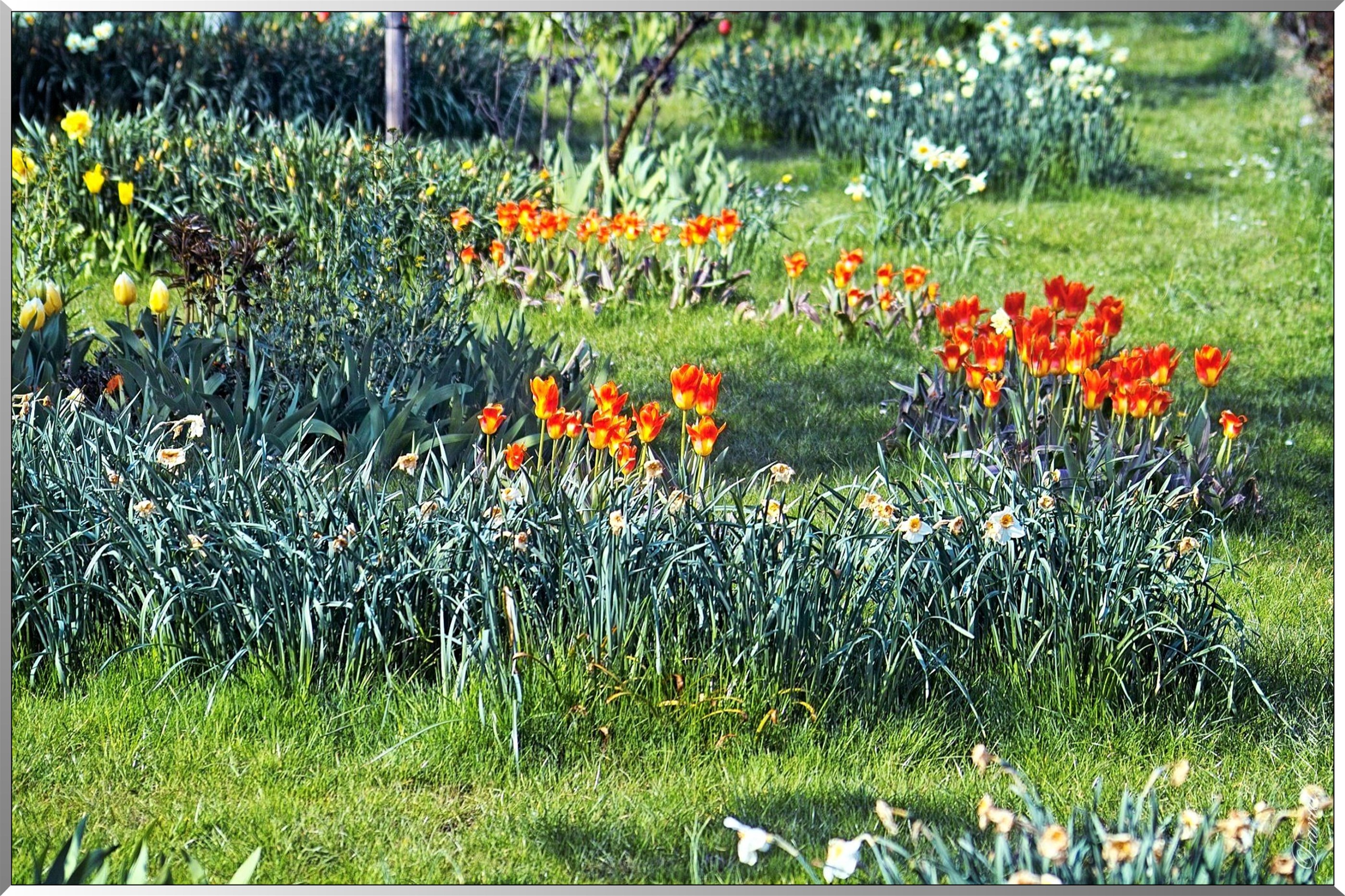 Giverny - la maison de Claude monet - 30 Mai 2004