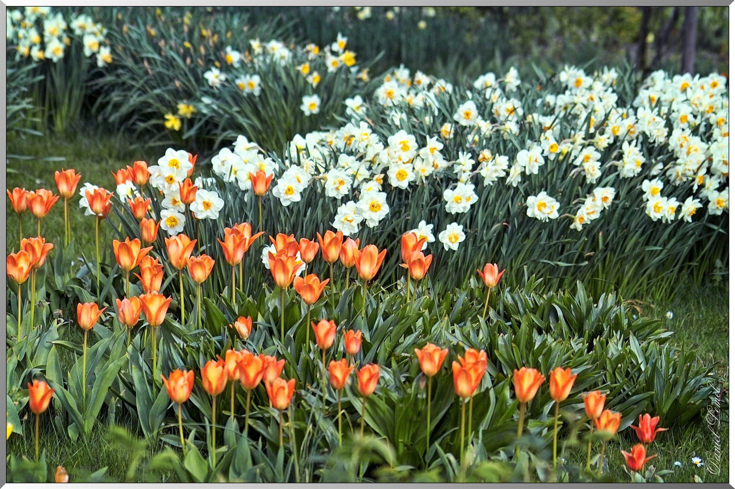 Giverny - la maison de Claude monet - 30 Mai 2004