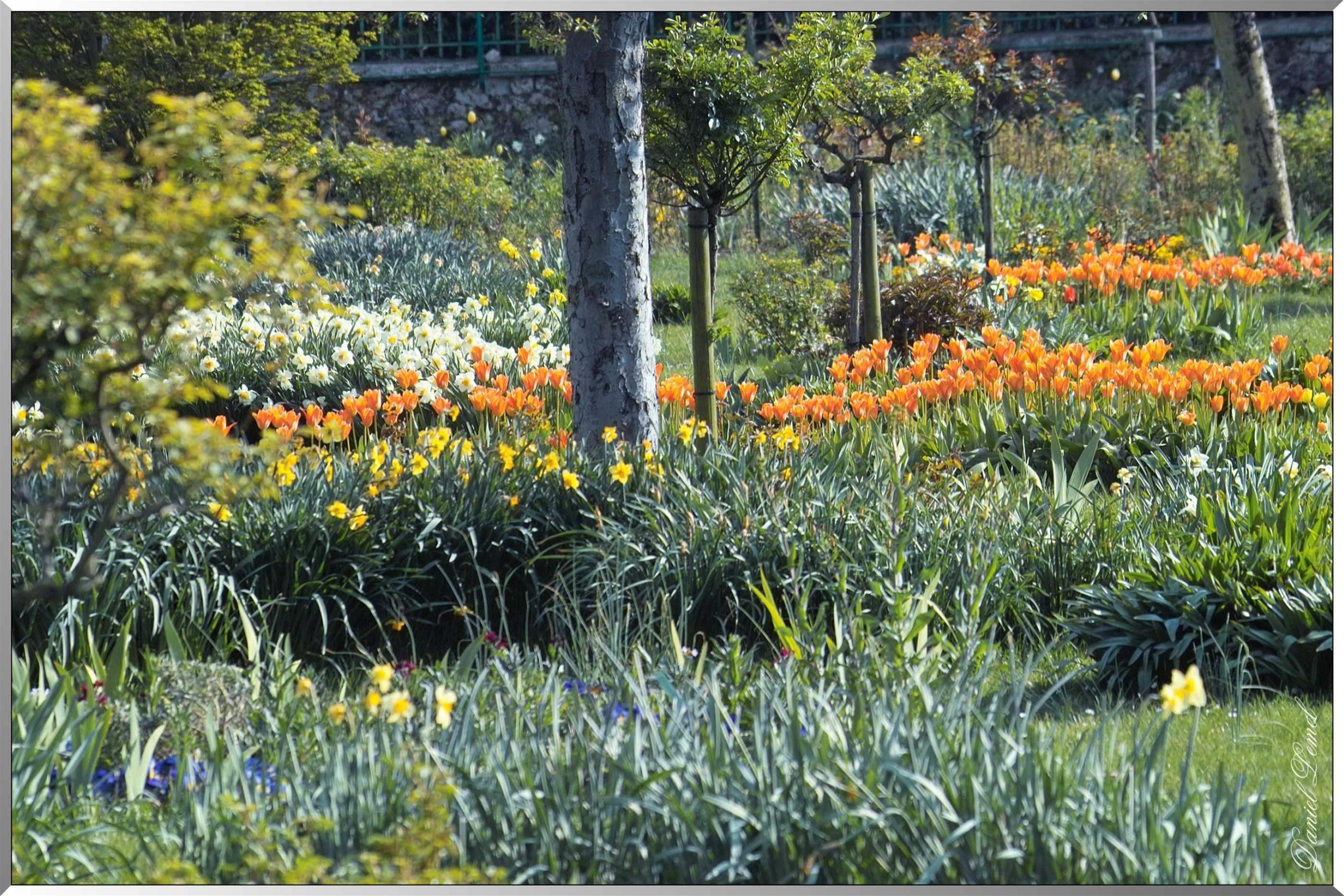 Giverny - la maison de Claude monet - 30 Mai 2004