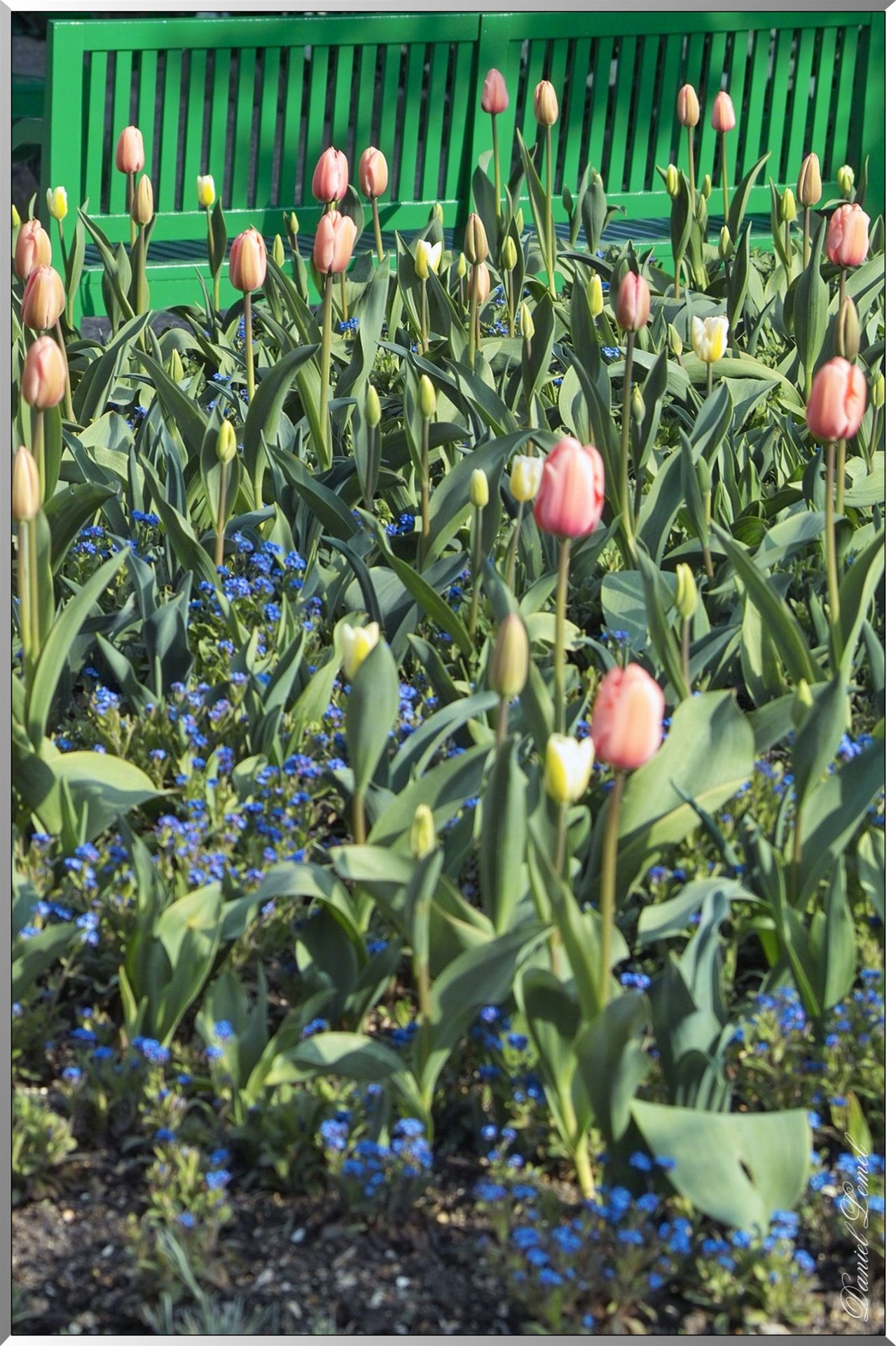 Giverny - la maison de Claude monet - 30 Mai 2004