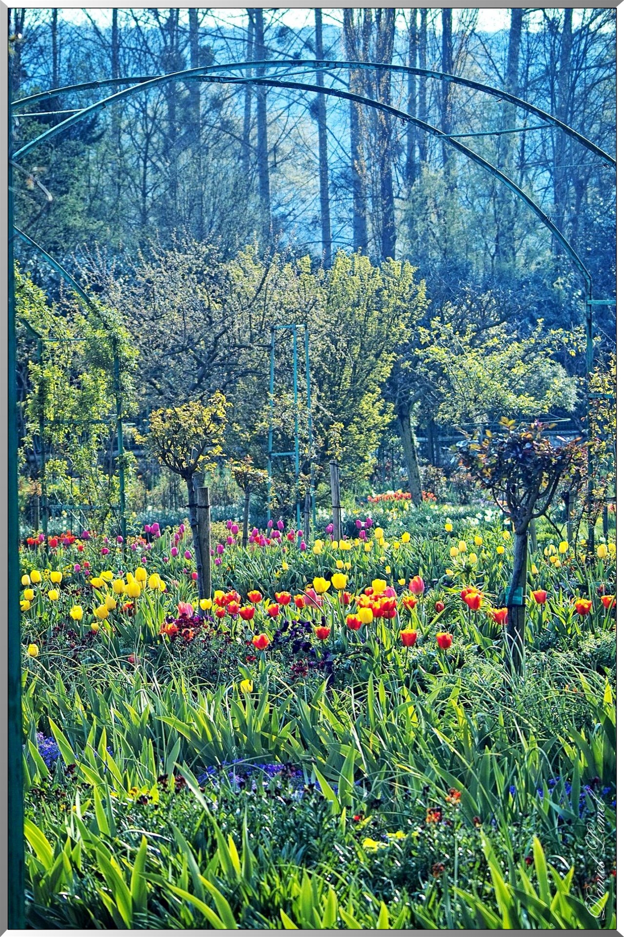 Giverny - la maison de Claude monet - 30 Mai 2004