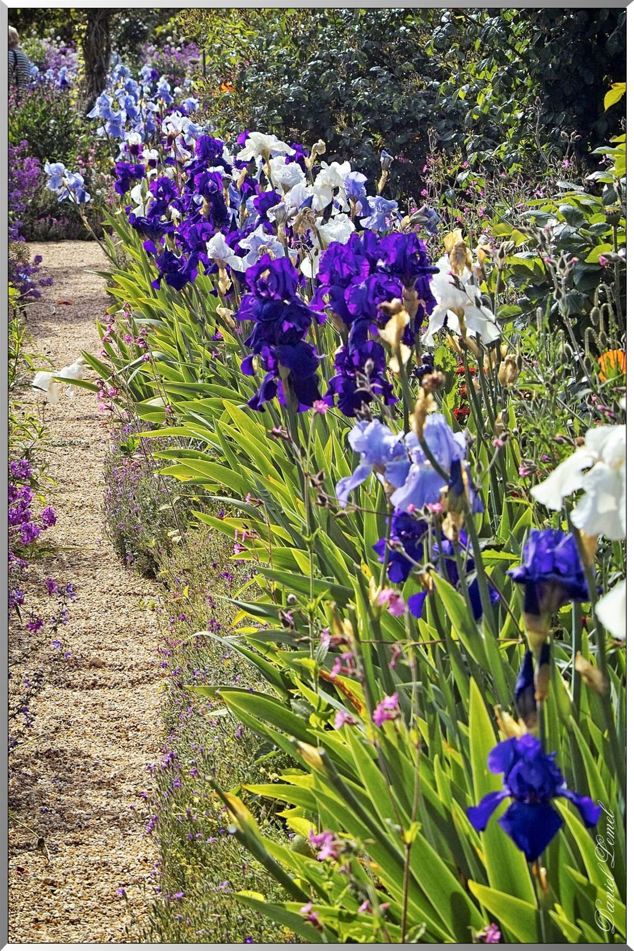 Giverny - la maison de Claude monet - 30 Mai 2004