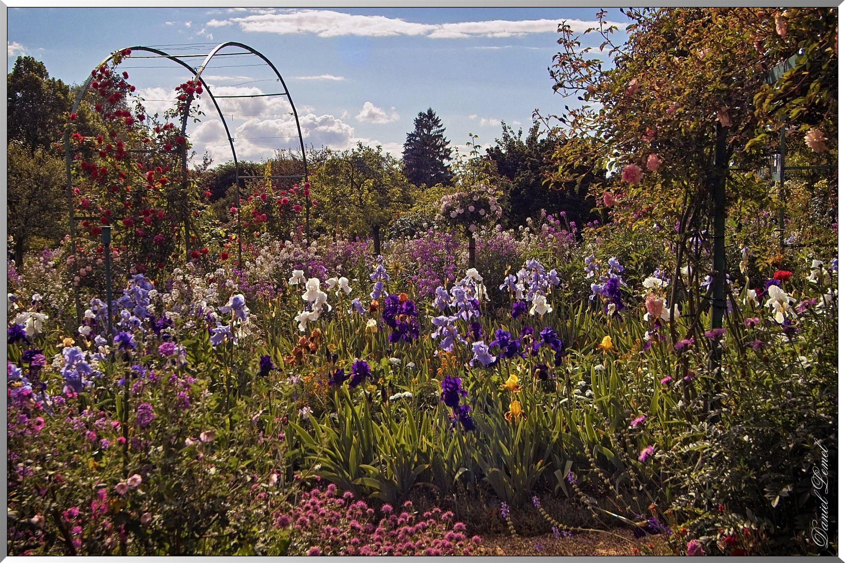 Giverny - la maison de Claude monet - 30 Mai 2004