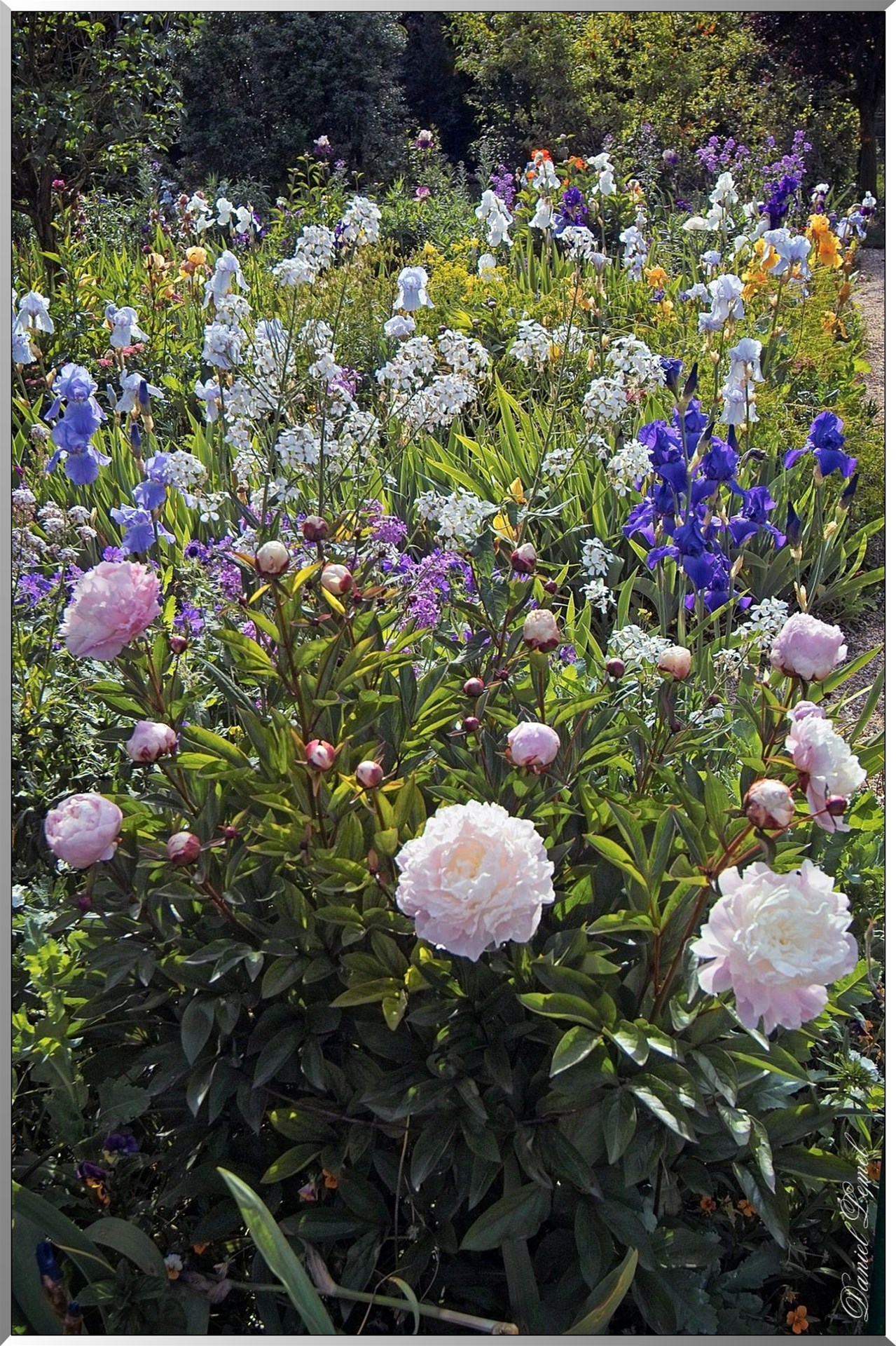 Giverny - la maison de Claude monet - 30 Mai 2004