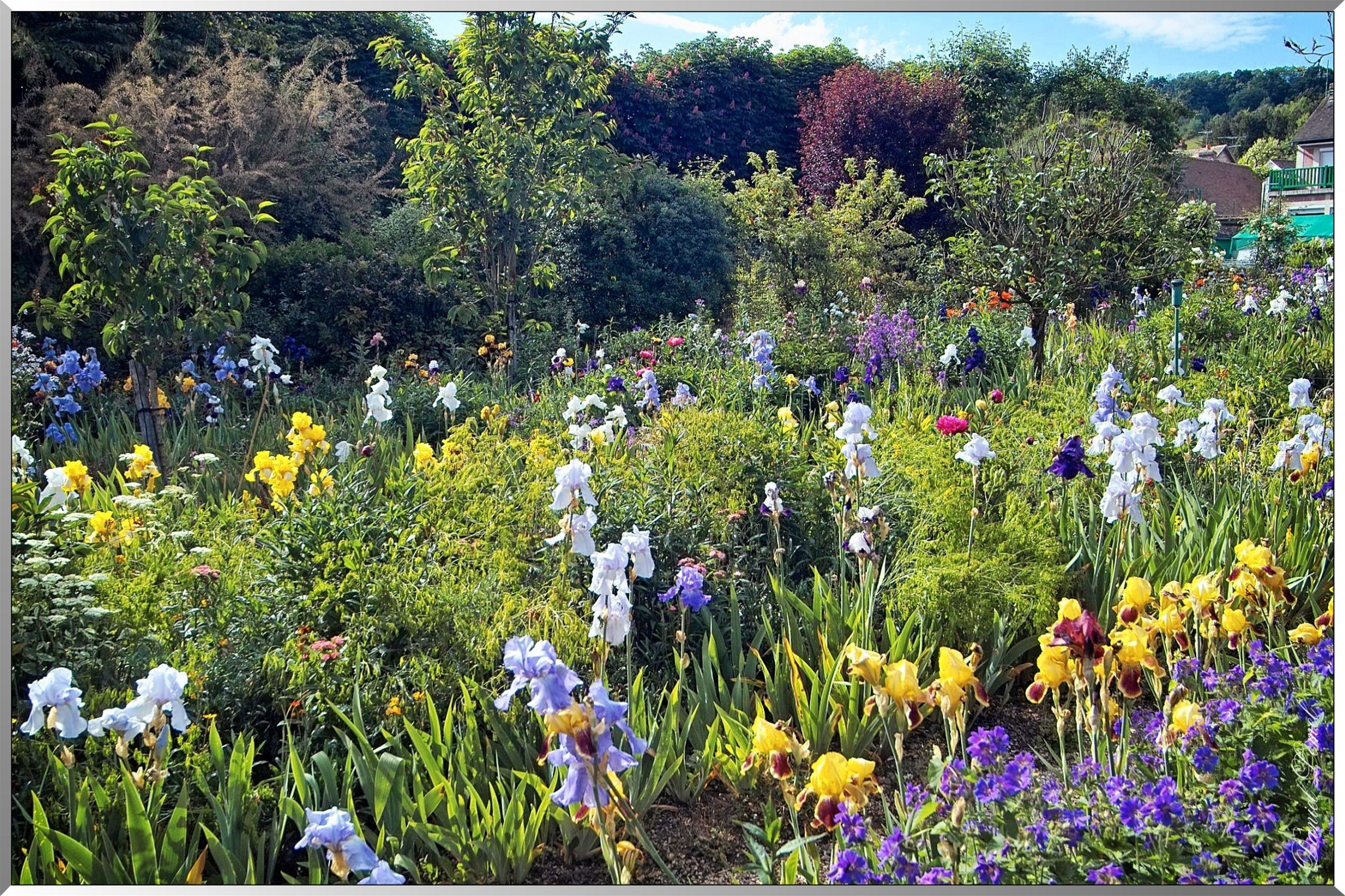Giverny - la maison de Claude monet - 30 Mai 2004
