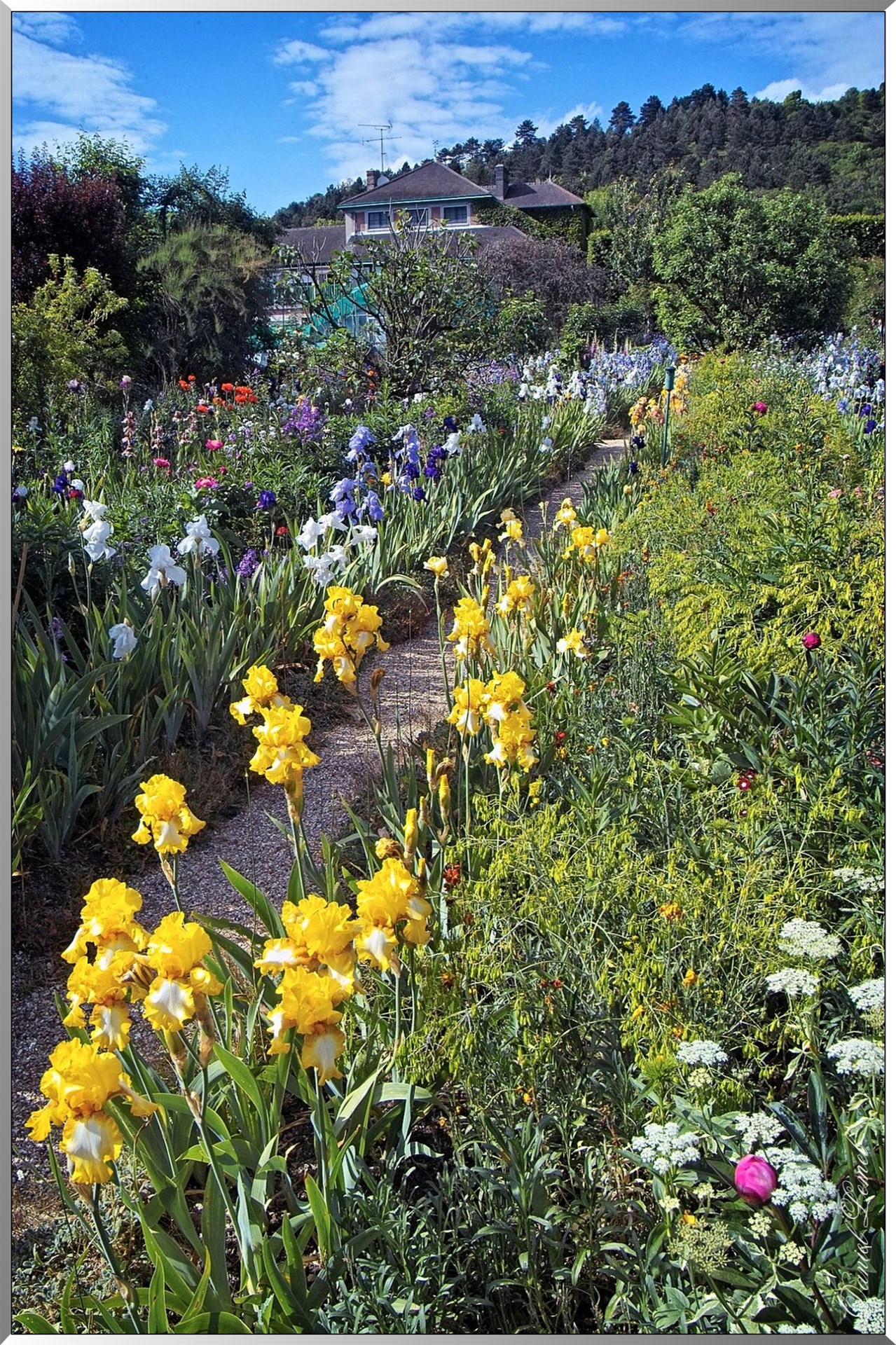 Giverny - la maison de Claude monet - 30 Mai 2004