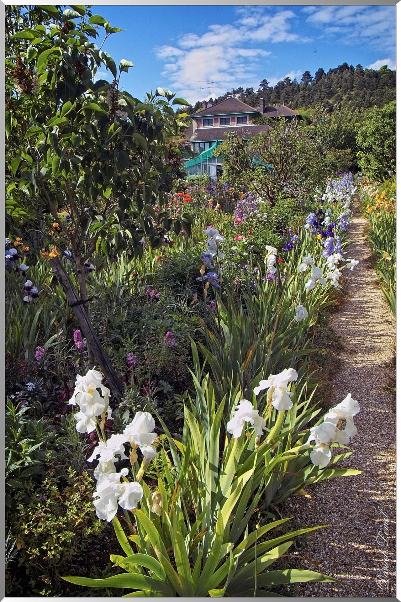 Giverny - la maison de Claude monet - 30 Mai 2004