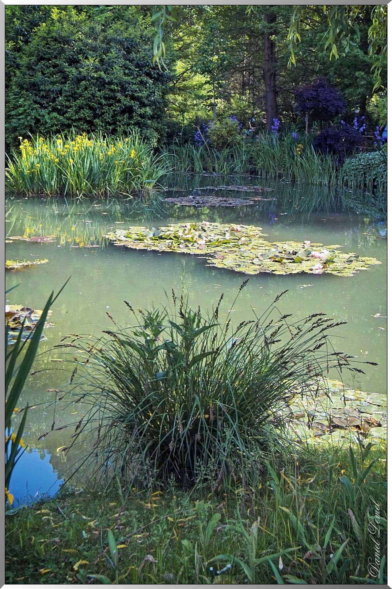 Giverny - la maison de Claude monet - 30 Mai 2004