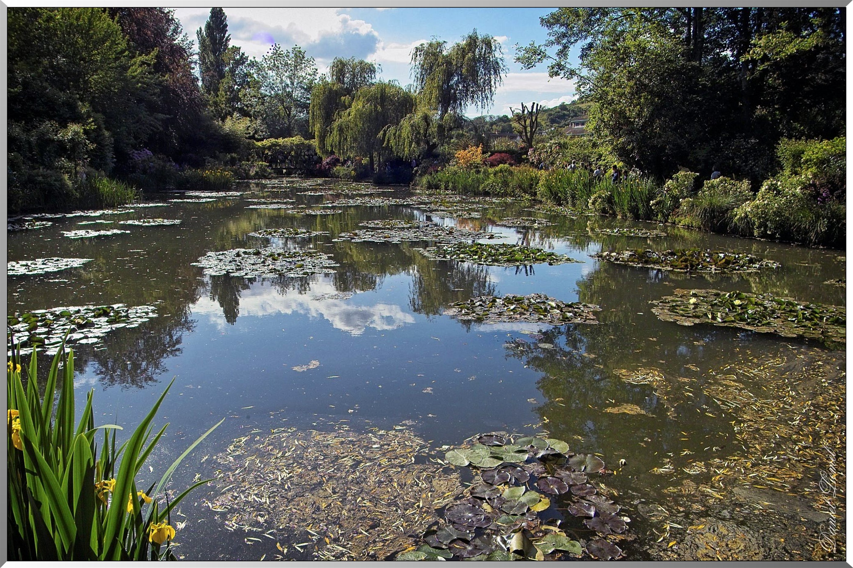 Giverny - la maison de Claude monet - 30 Mai 2004