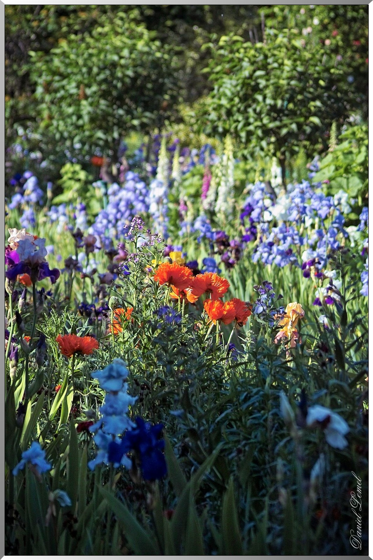 Giverny - la maison de Claude monet - 30 Mai 2004