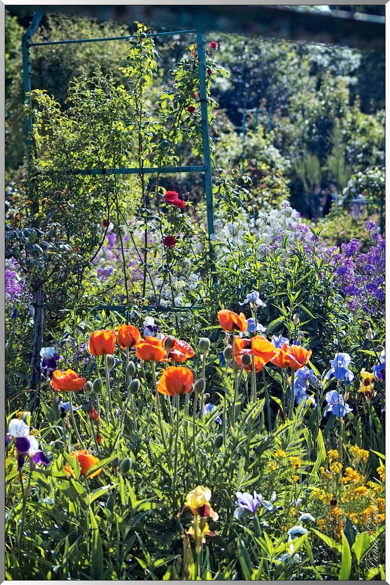Giverny - la maison de Claude monet - 30 Mai 2004