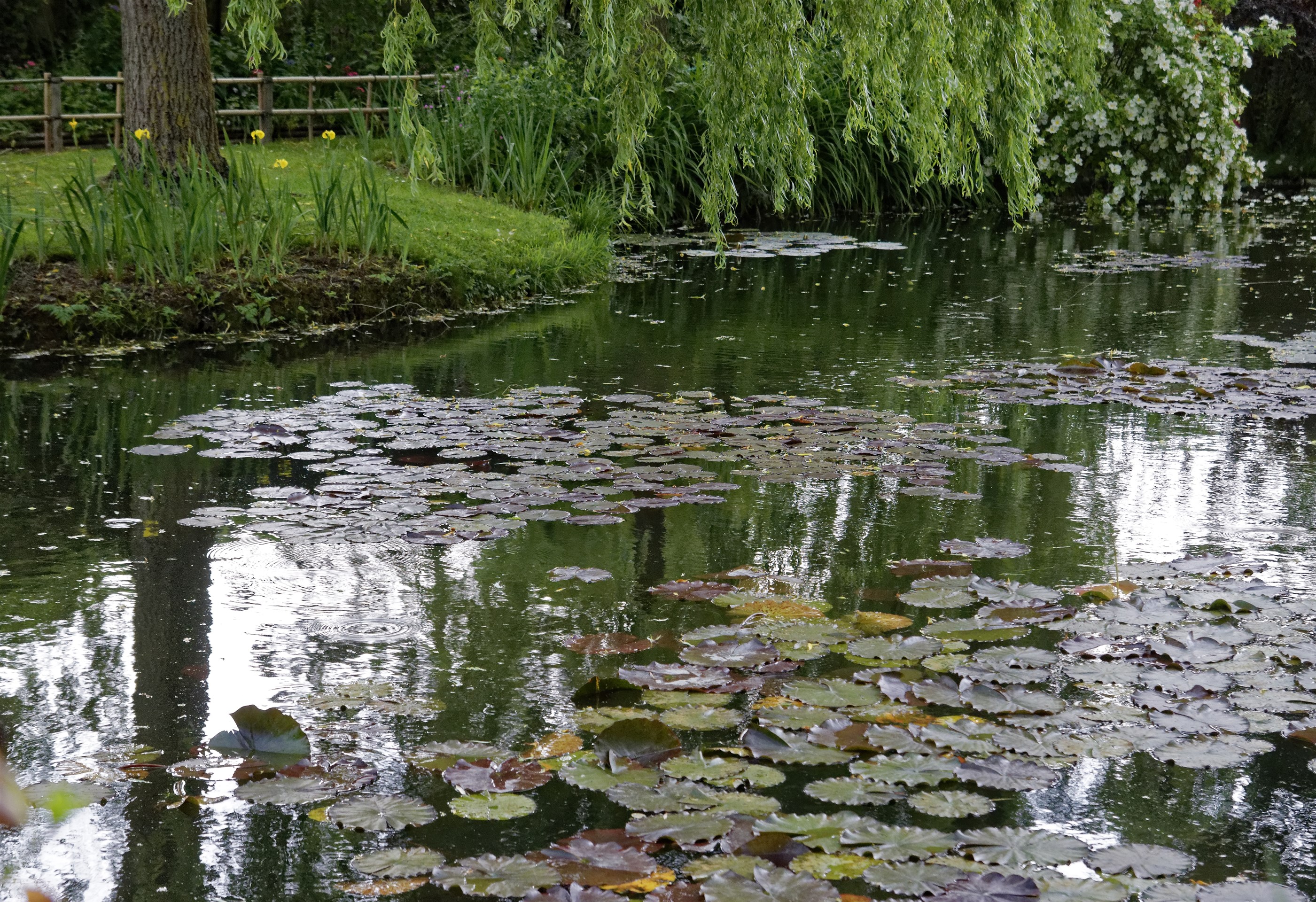 Giverny - la maison de Claude monet - 17 Mai 2017