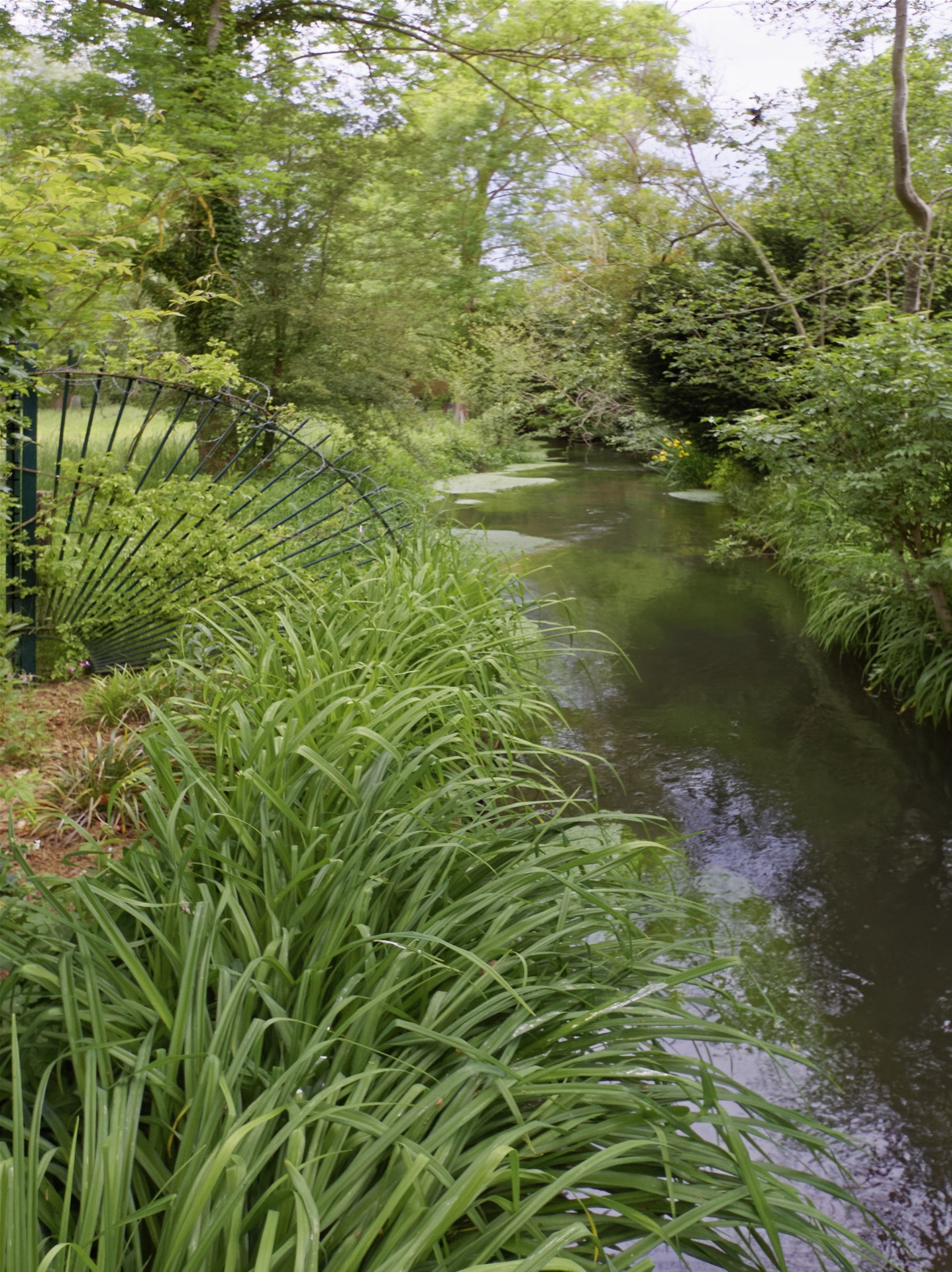 Giverny - la maison de Claude monet - 17 Mai 2017