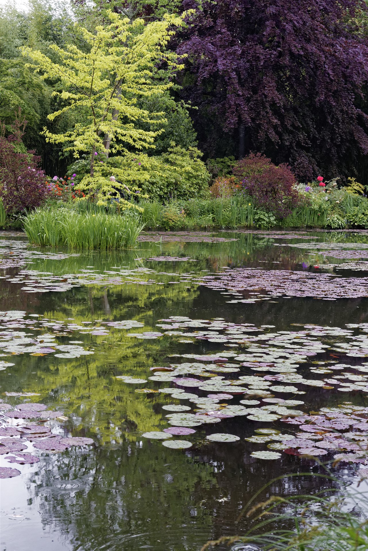 Giverny - la maison de Claude monet - 17 Mai 2017