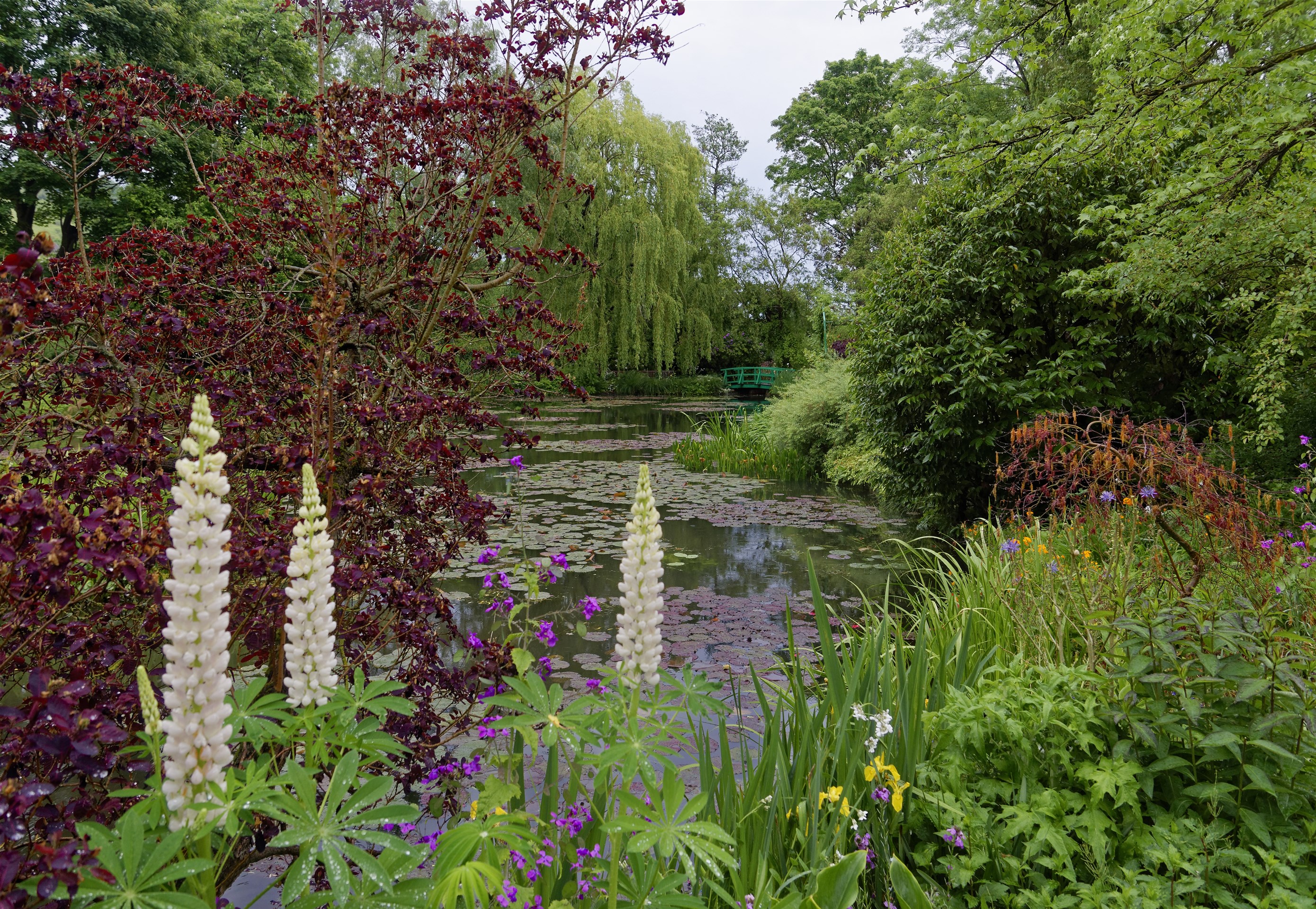 Giverny - la maison de Claude monet - 17 Mai 2017