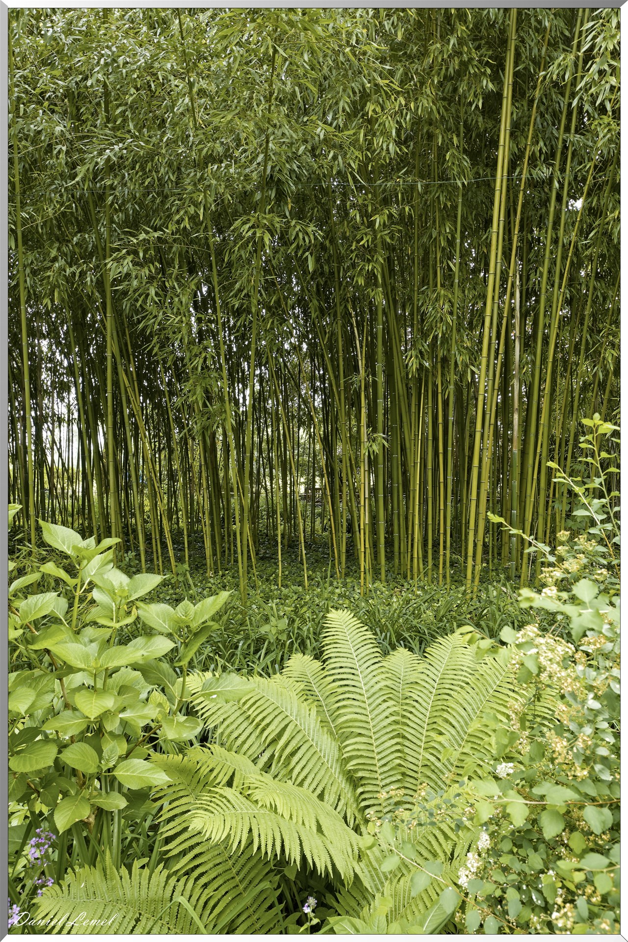 Giverny - la maison de Claude monet - 23 Mai 2018