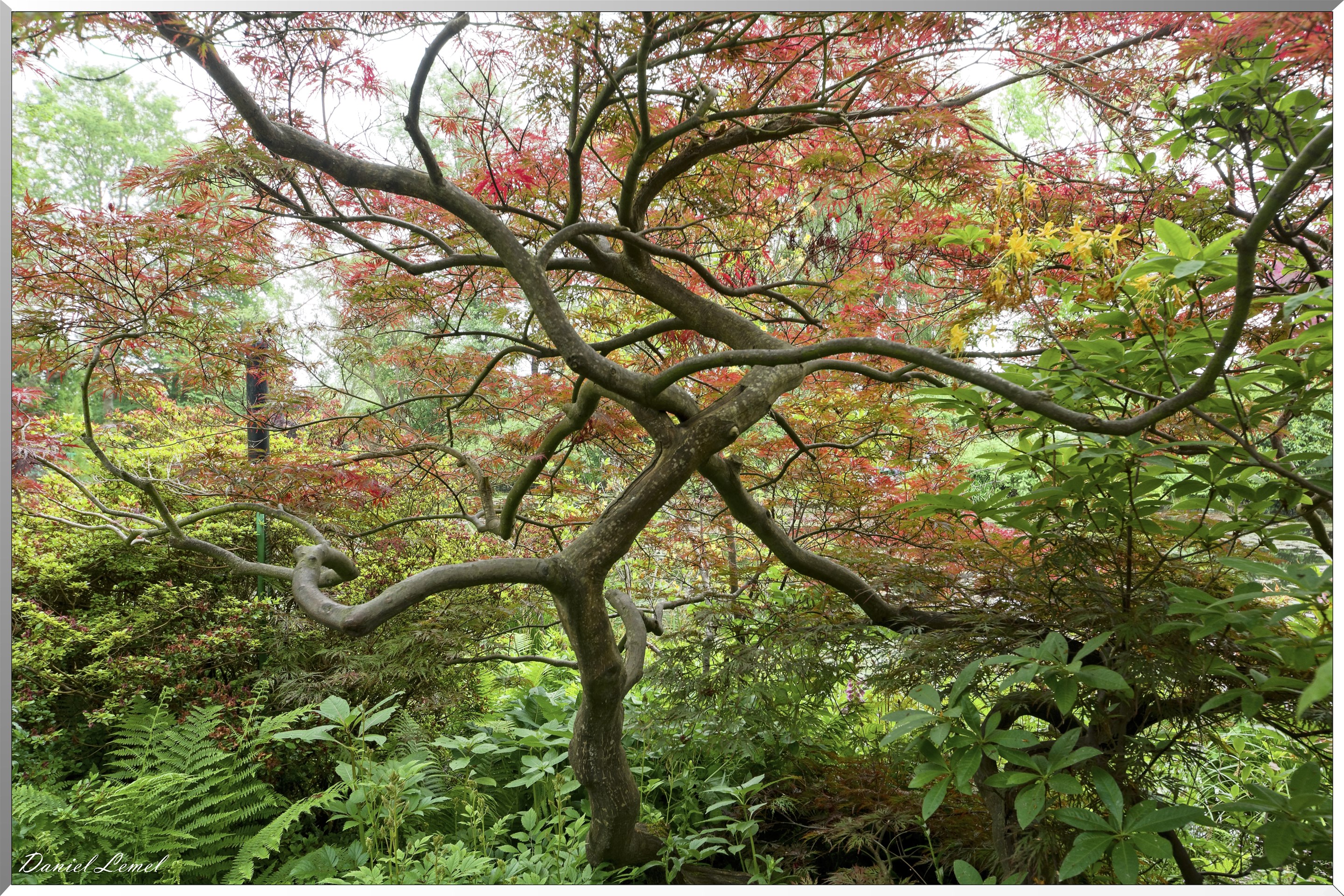 Giverny - la maison de Claude monet - 23 Mai 2018