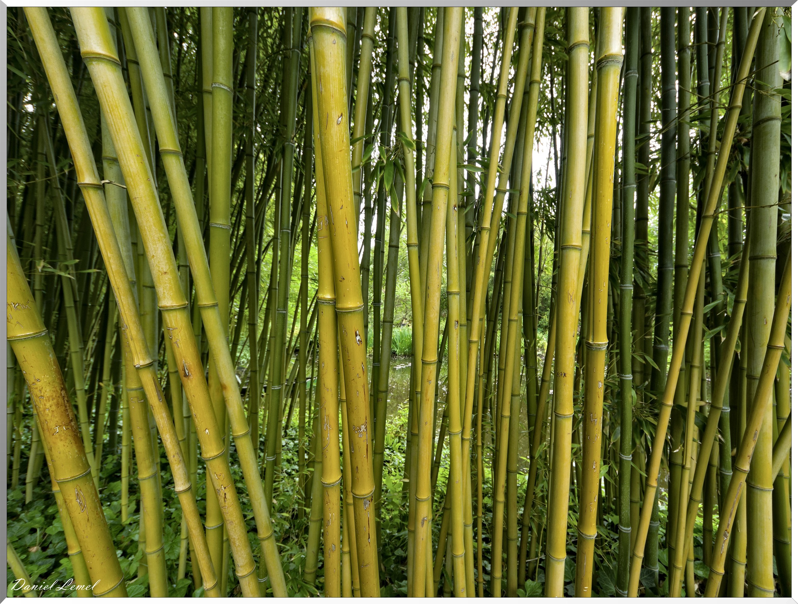 Giverny - la maison de Claude monet - 23 Mai 2018