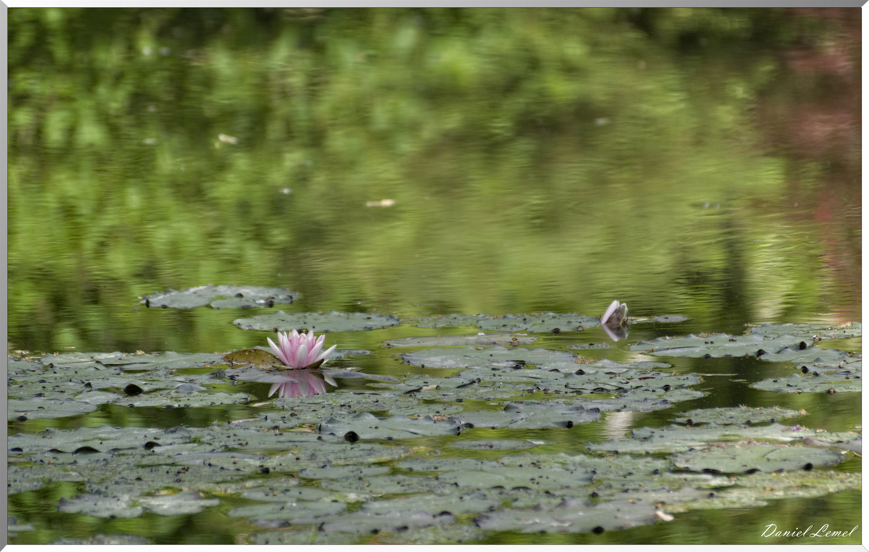 Giverny - la maison de Claude monet - 15 Juin 2021