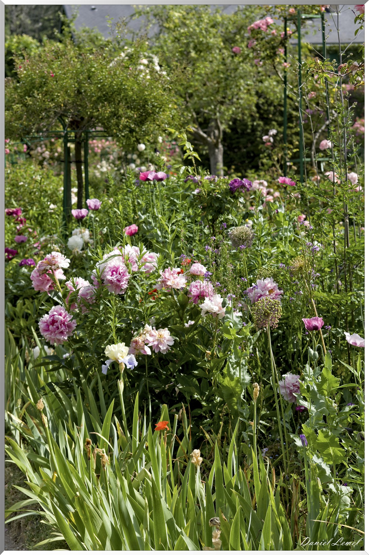 Giverny - la maison de Claude monet - 15 Juin 2021