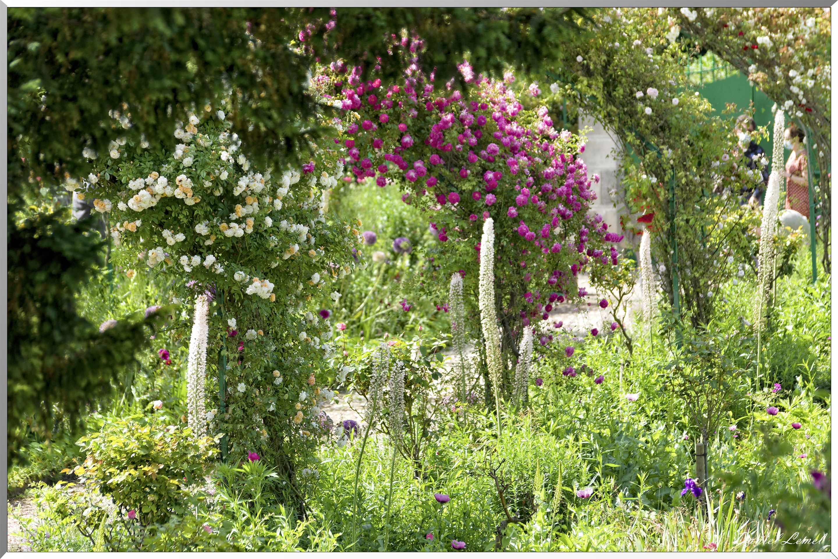 Giverny - la maison de Claude monet - 15 Juin 2021
