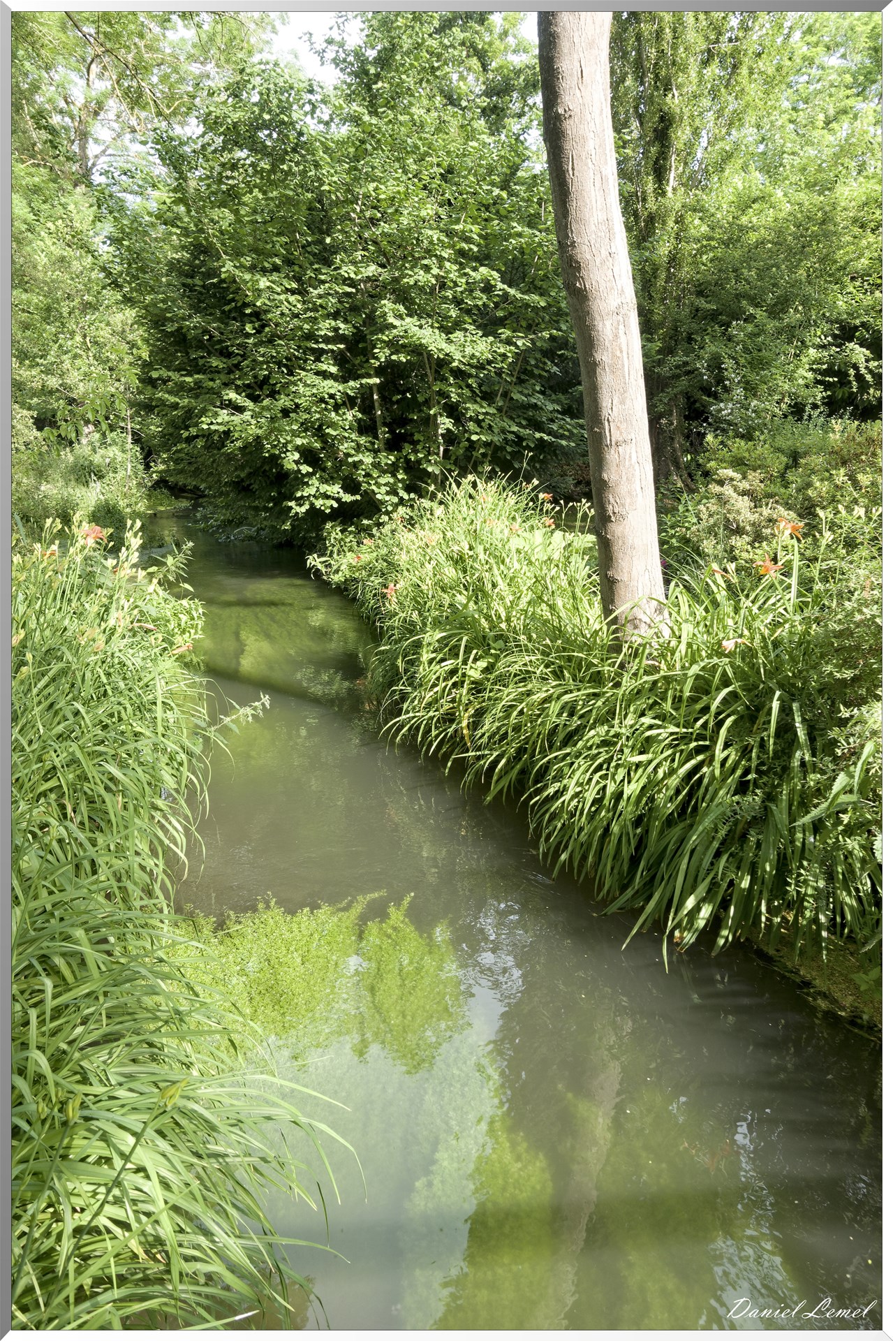 Giverny - la maison de Claude monet - 15 Juin 2021
