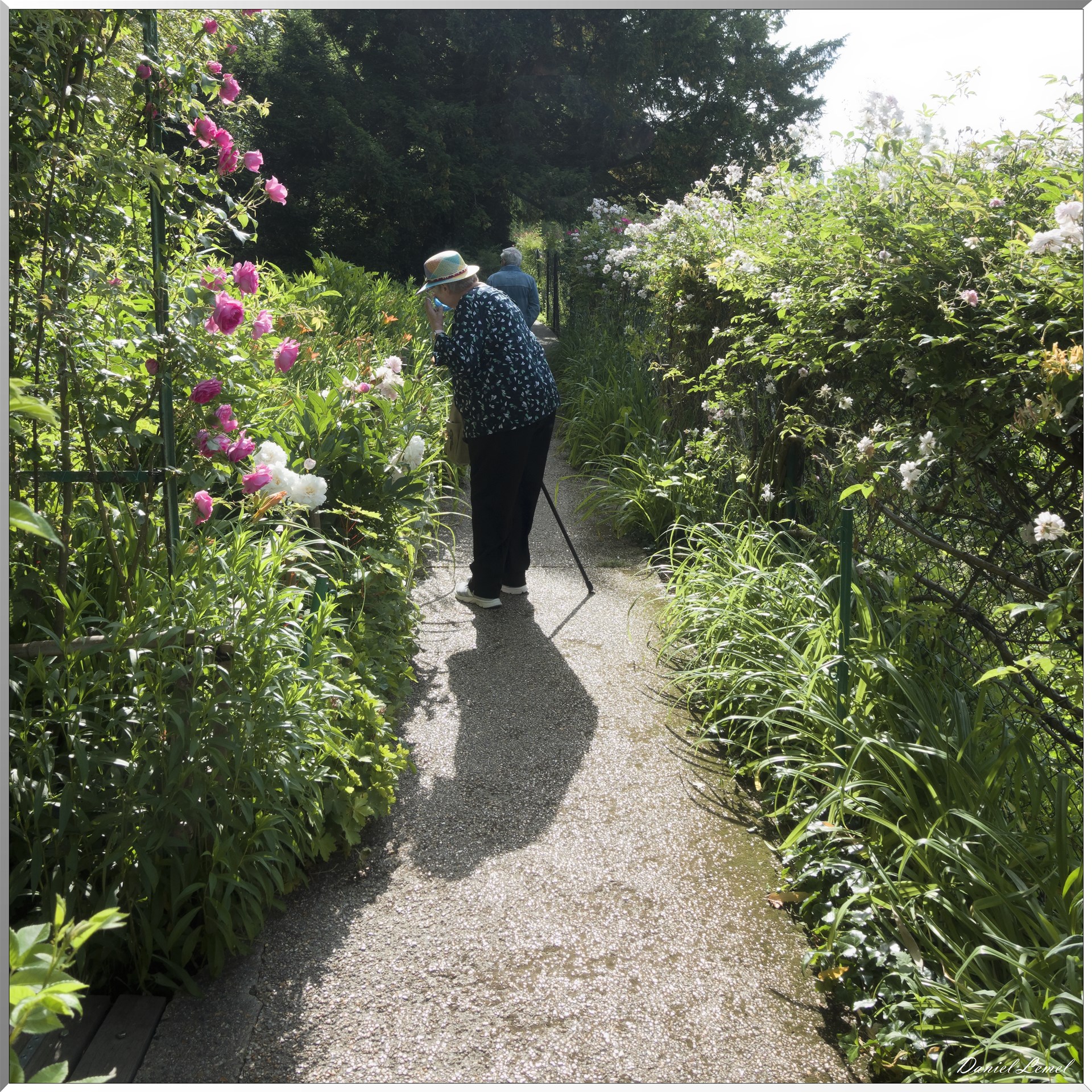 Giverny - la maison de Claude monet - 15 Juin 2021
