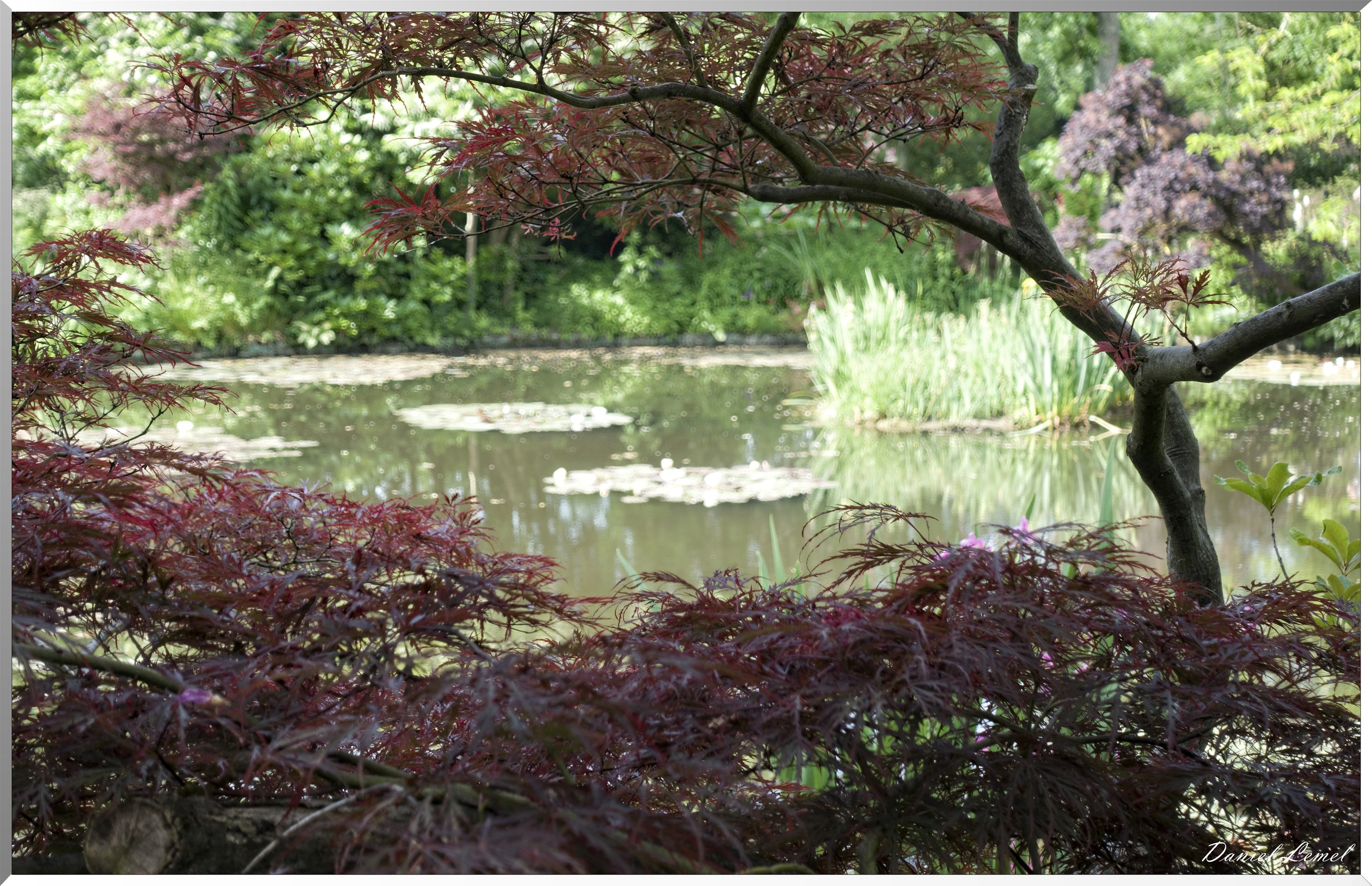 Giverny - la maison de Claude monet - 15 Juin 2021