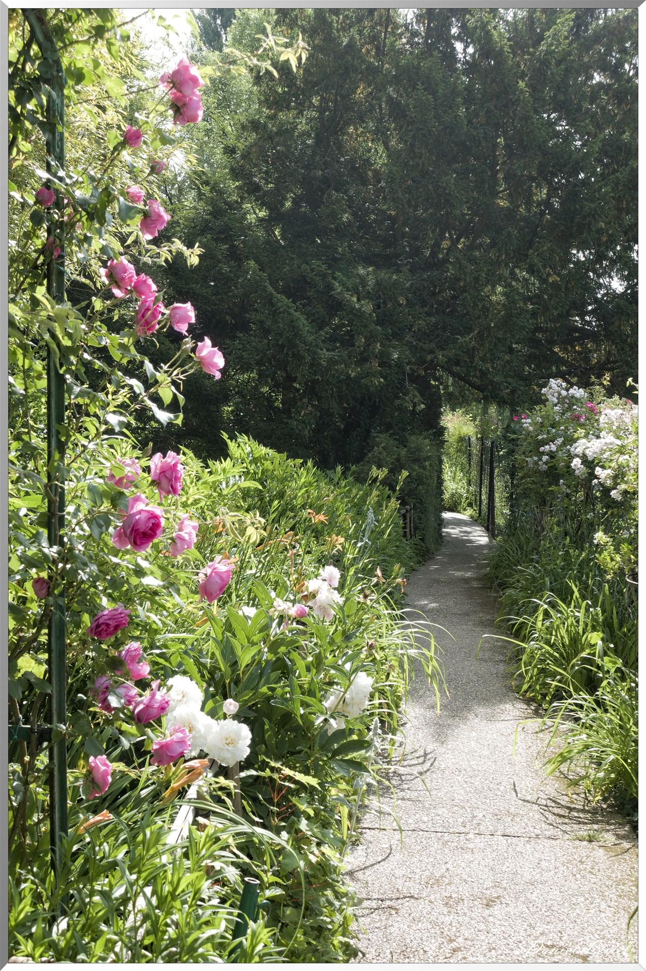 Giverny - la maison de Claude monet - 15 Juin 2021