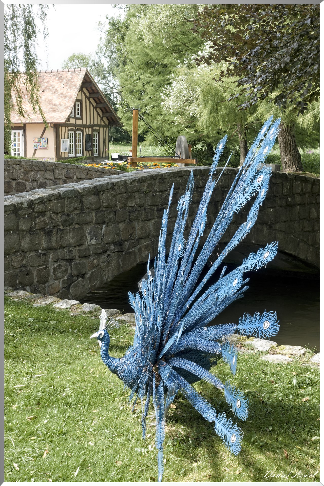 "Léon le paon bleu" -  Claude Pasquer - 2018