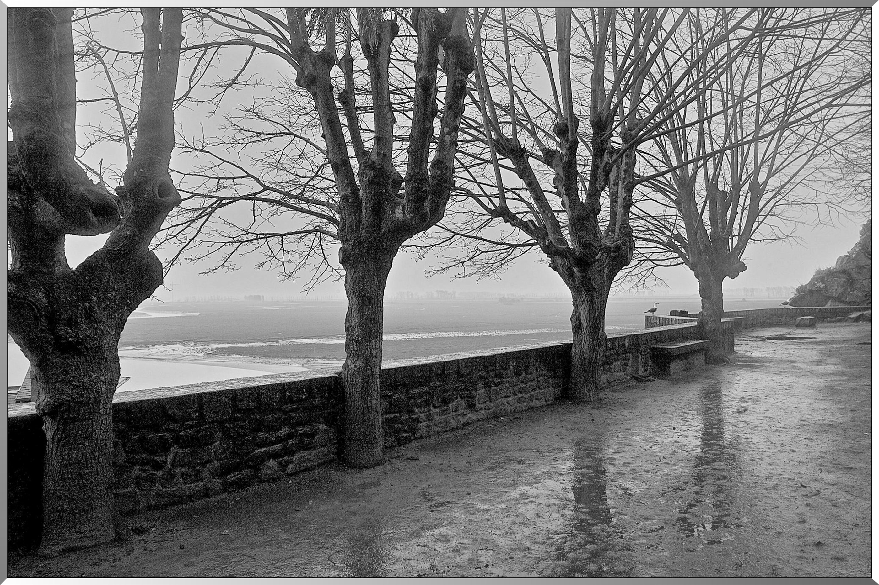Mont Saint-Michel