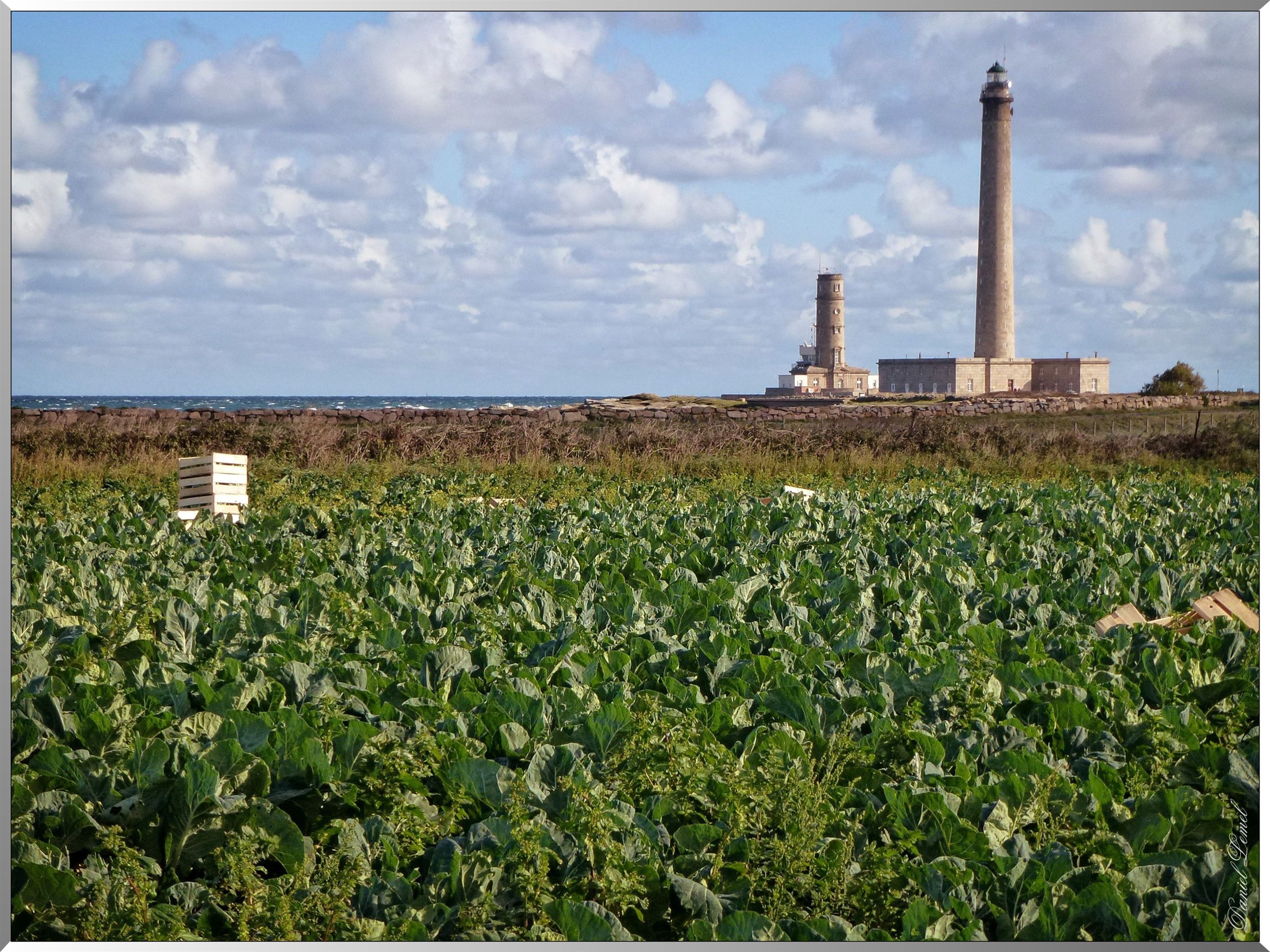 Phare de Gatteville 1