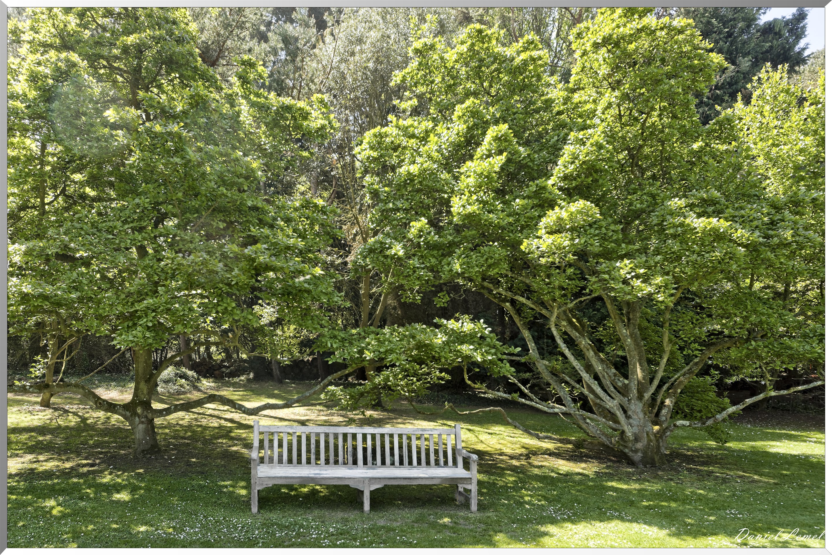 Parc du Bois des Moutiers