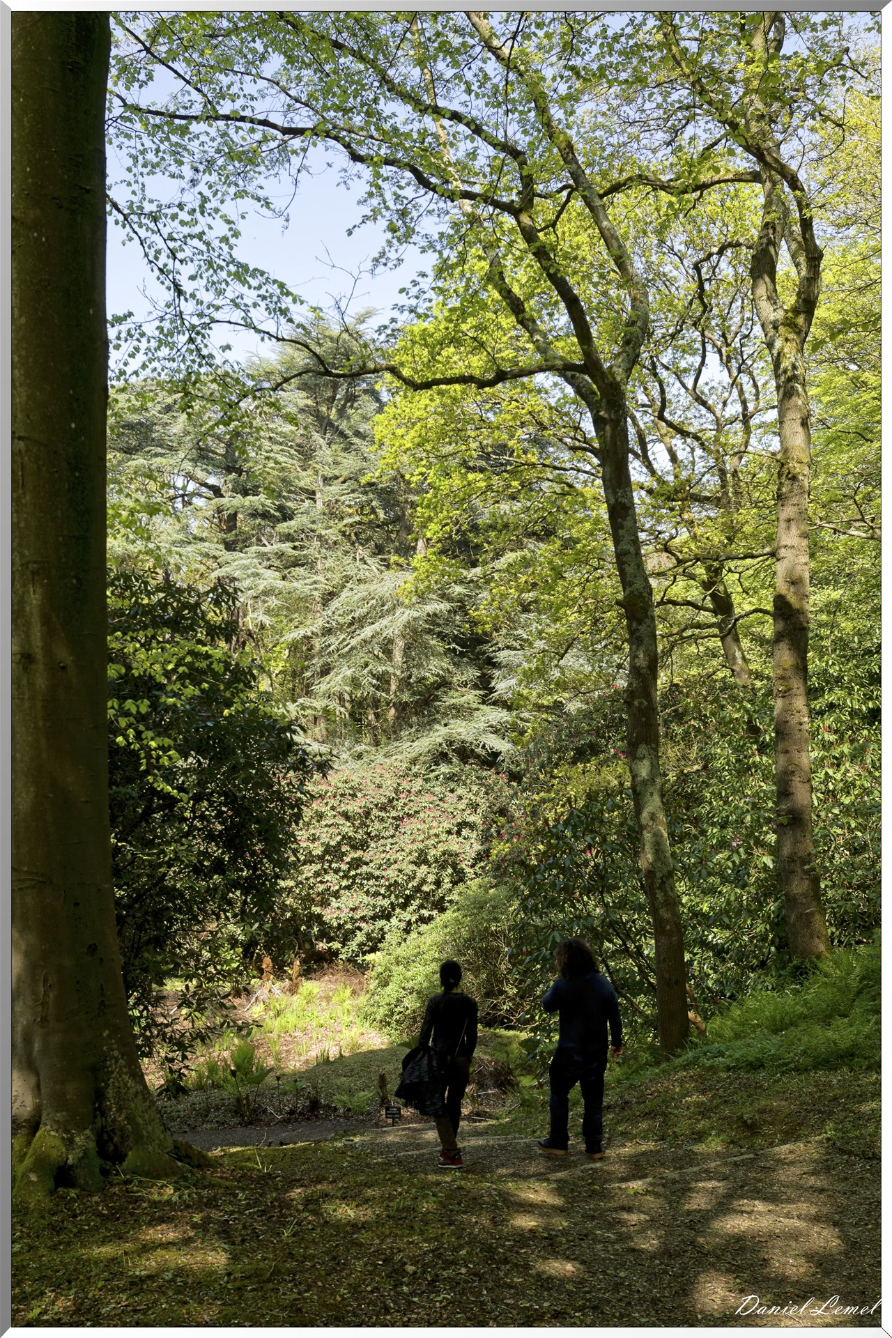 Parc du Bois des Moutiers