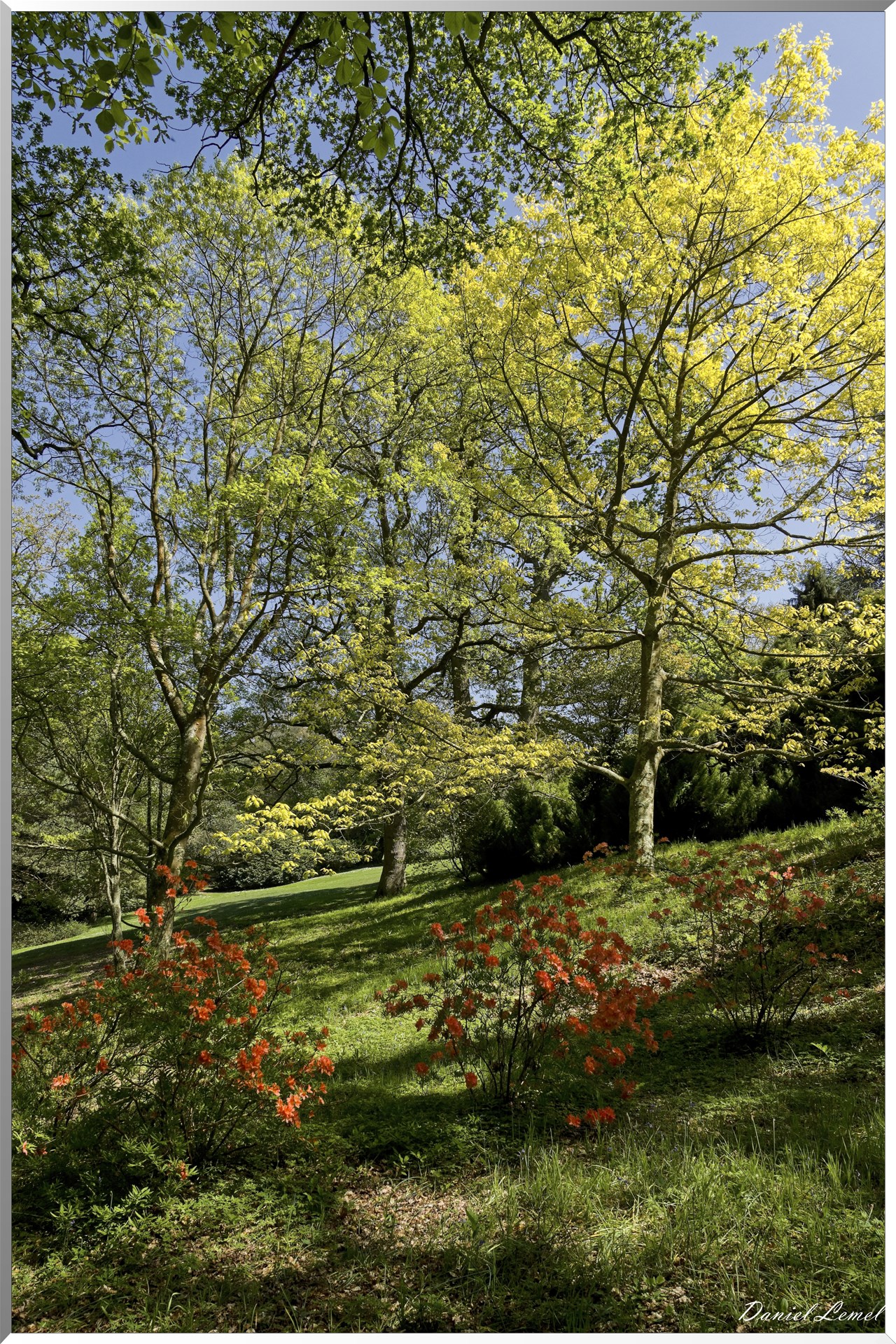Parc du Bois des Moutiers