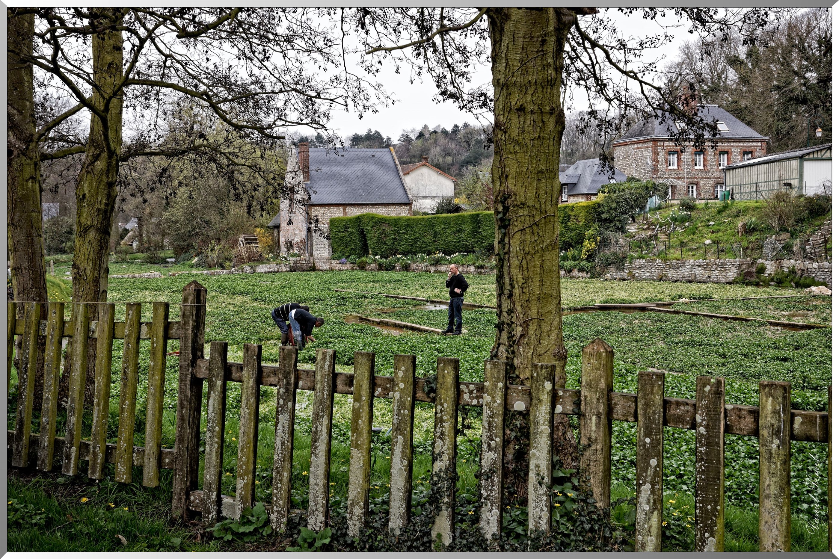 Cressonnières
